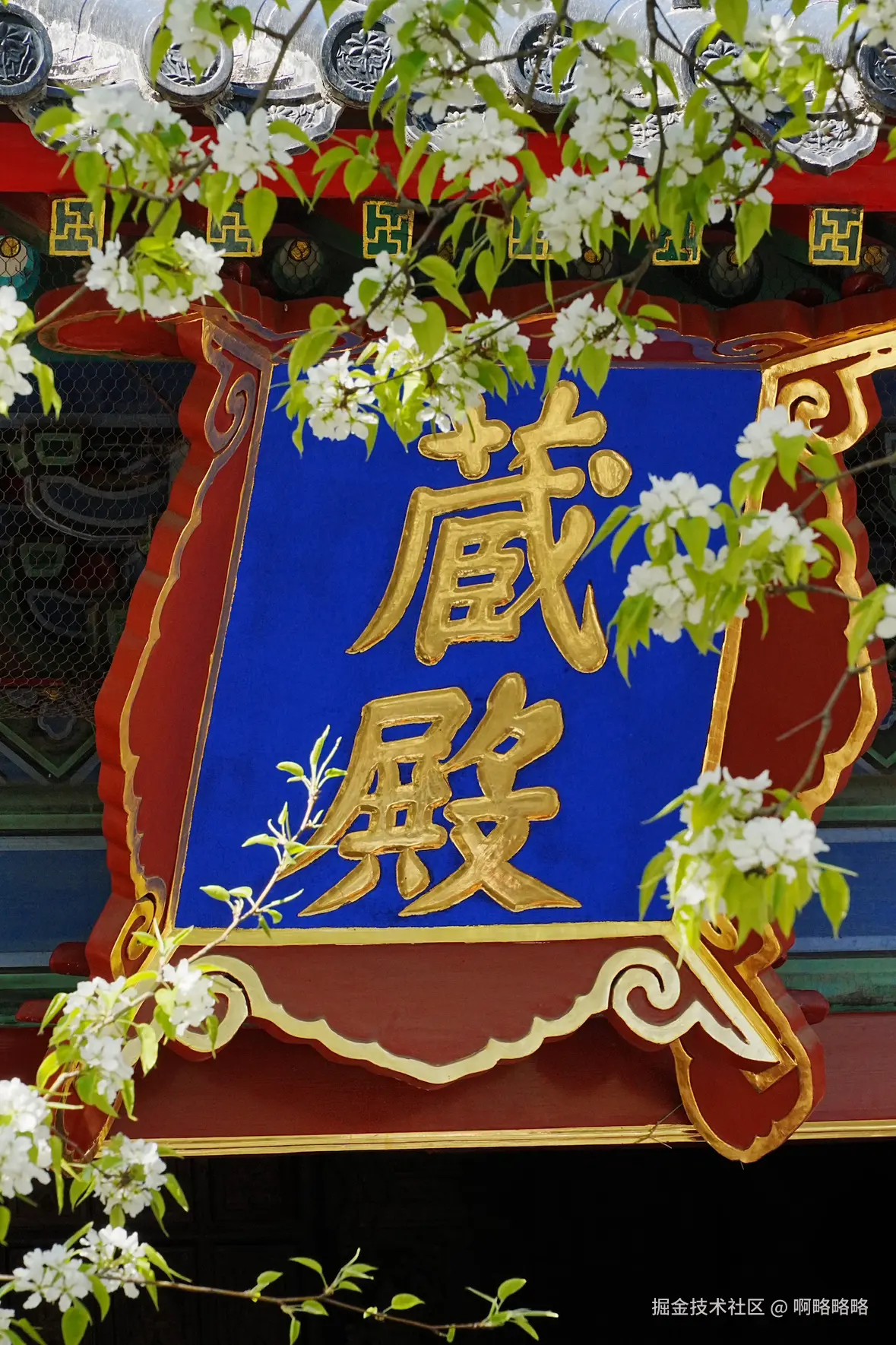 啊略略略于2025-04-02 14:21发布的图片