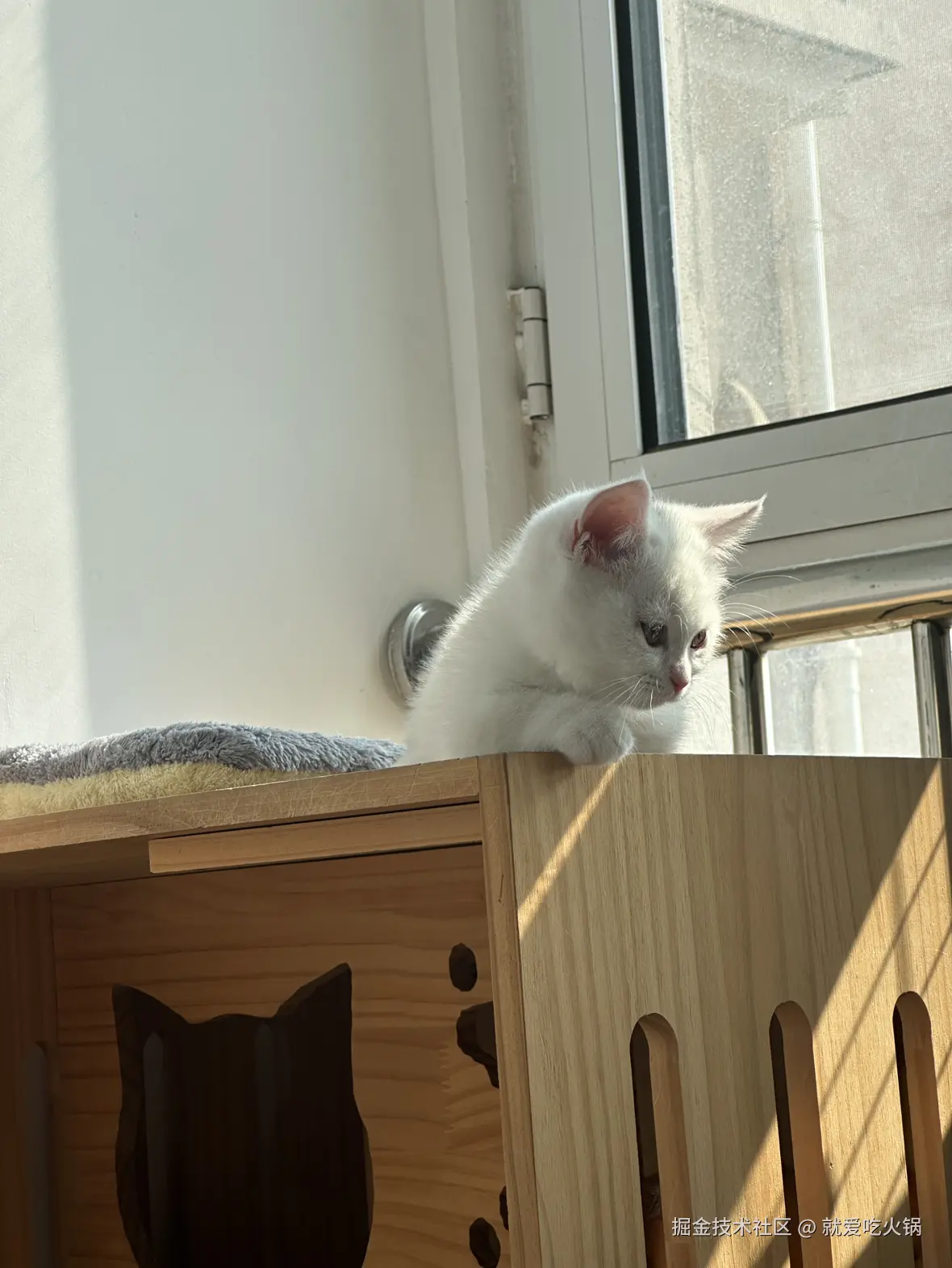 就爱吃火锅于2025-03-10 09:39发布的图片