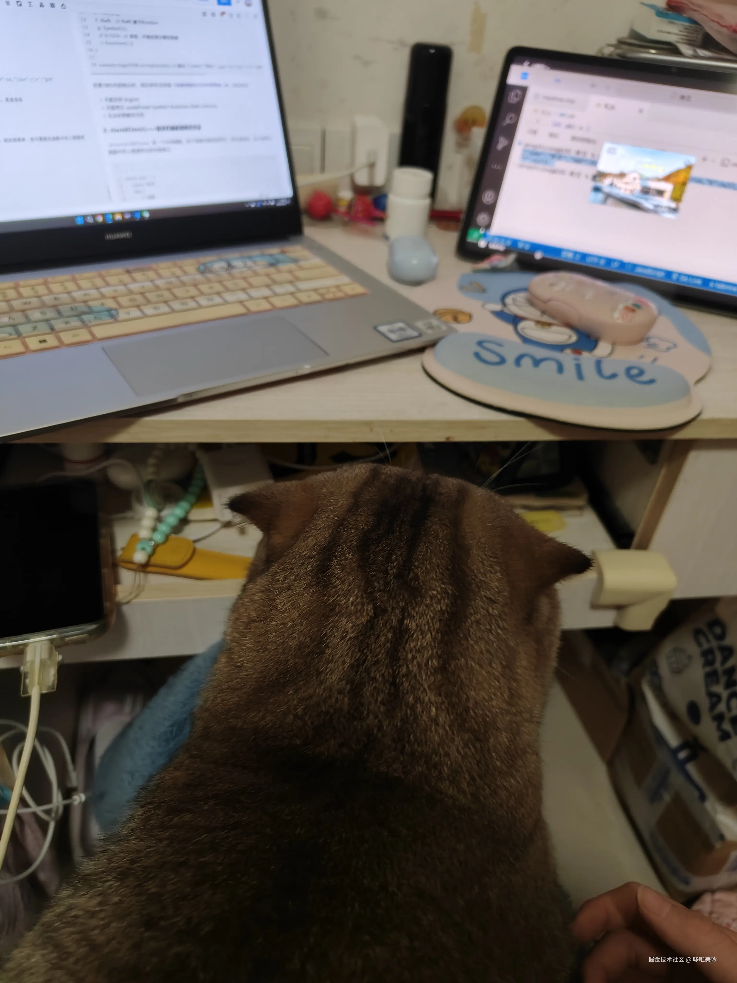 哆啦美玲于2024-12-09 19:34发布的图片