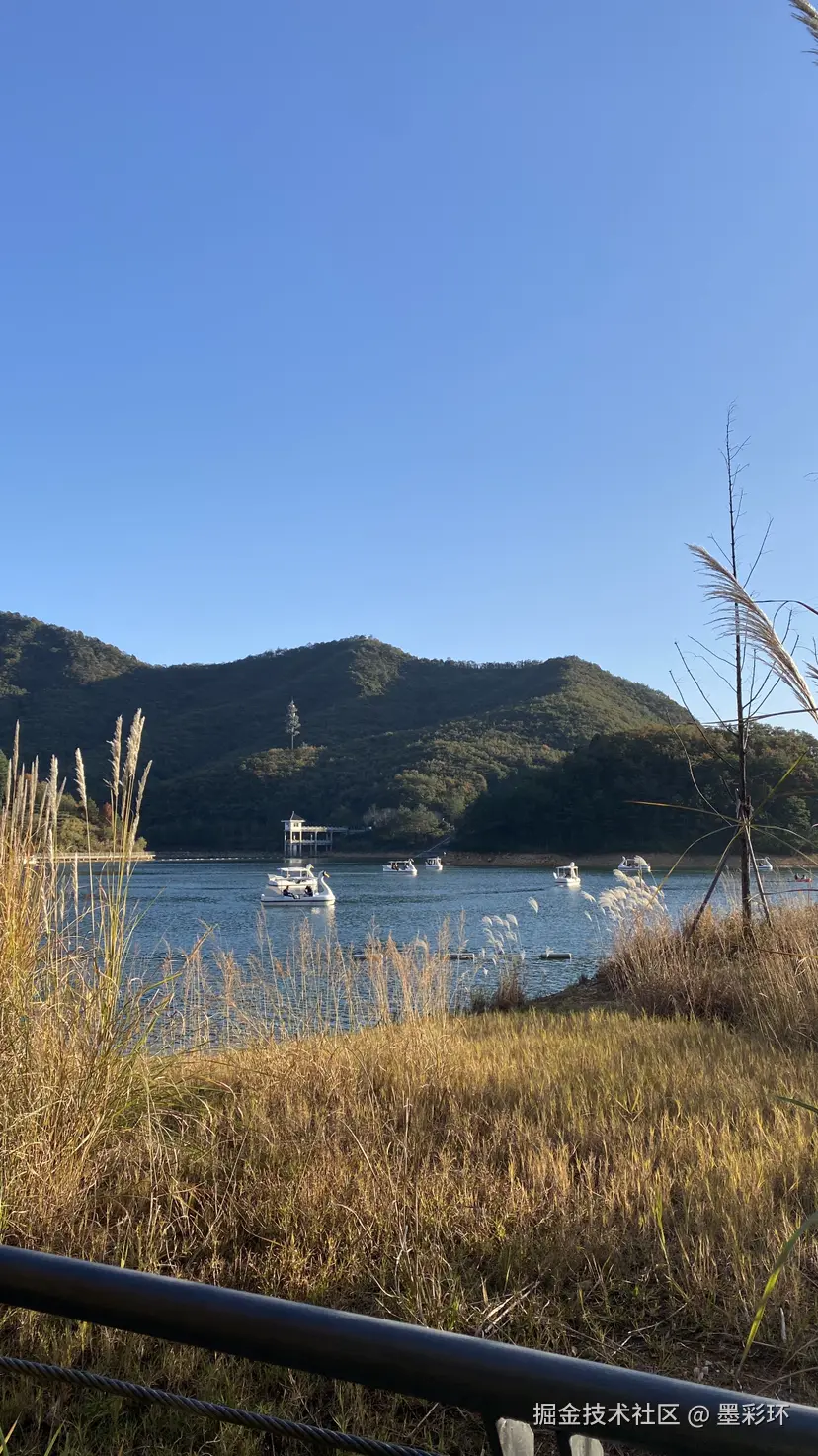 墨彩环于2024-12-02 08:09发布的图片