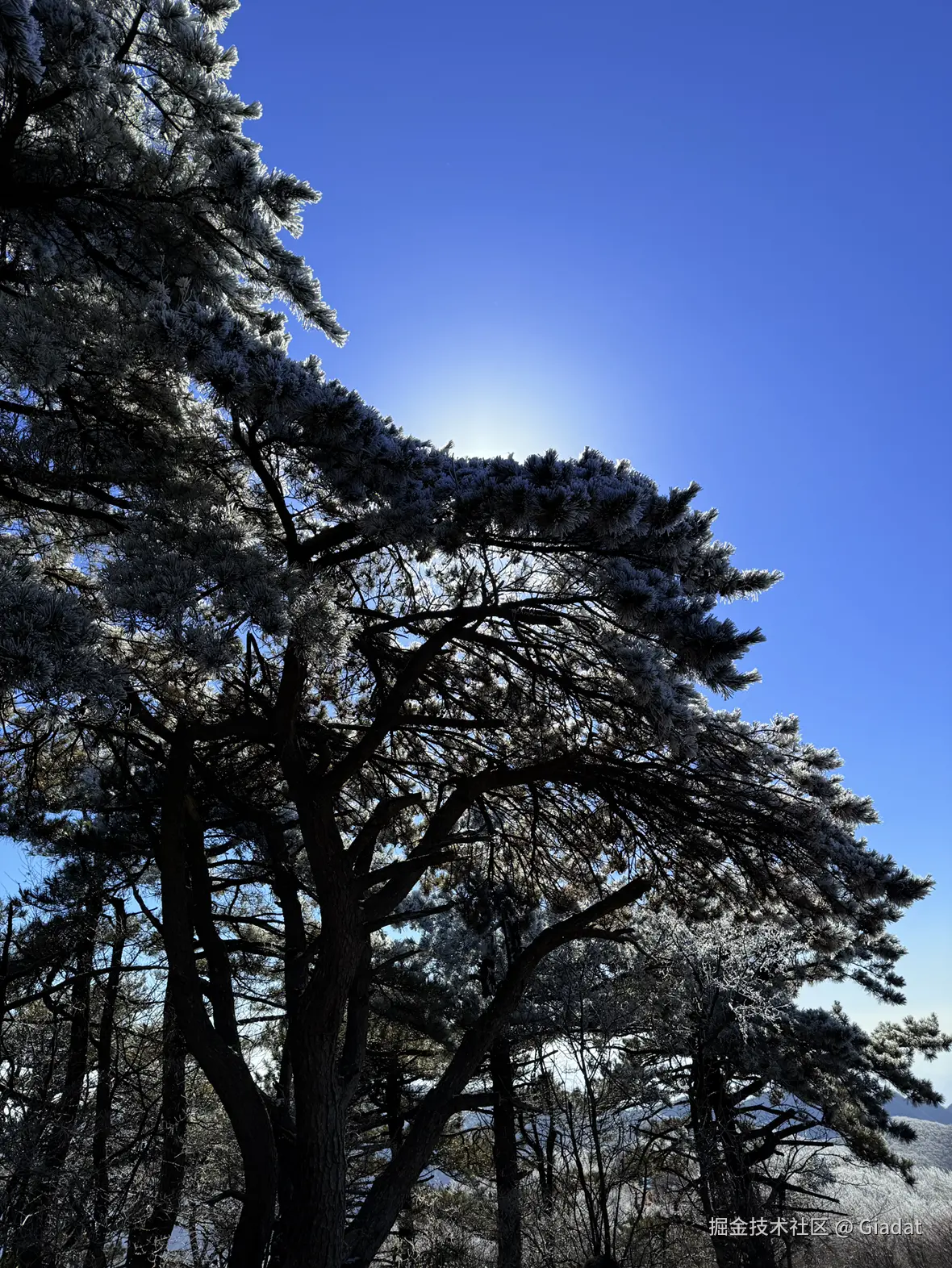 Giadat于2025-12-16 14:17发布的图片