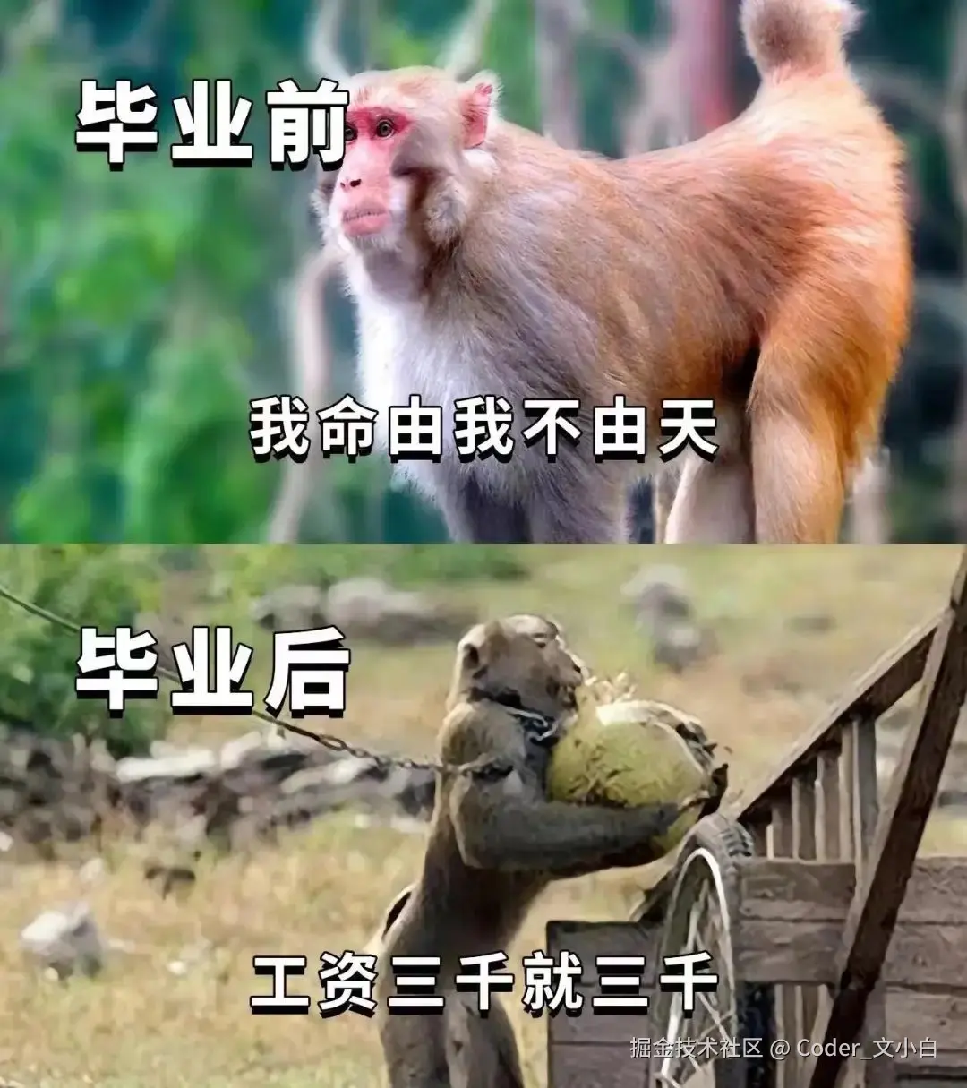 Coder_文小白于2024-07-31 08:44发布的图片