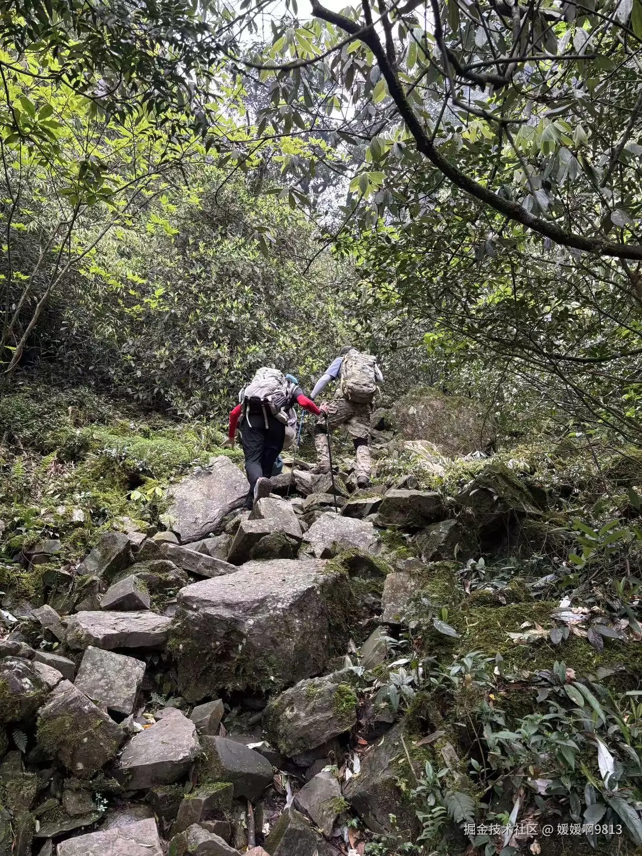 媛媛啊9813于2026-04-14 22:41发布的图片