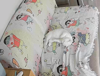 就爱吃火锅于2025-10-14 15:03发布的图片