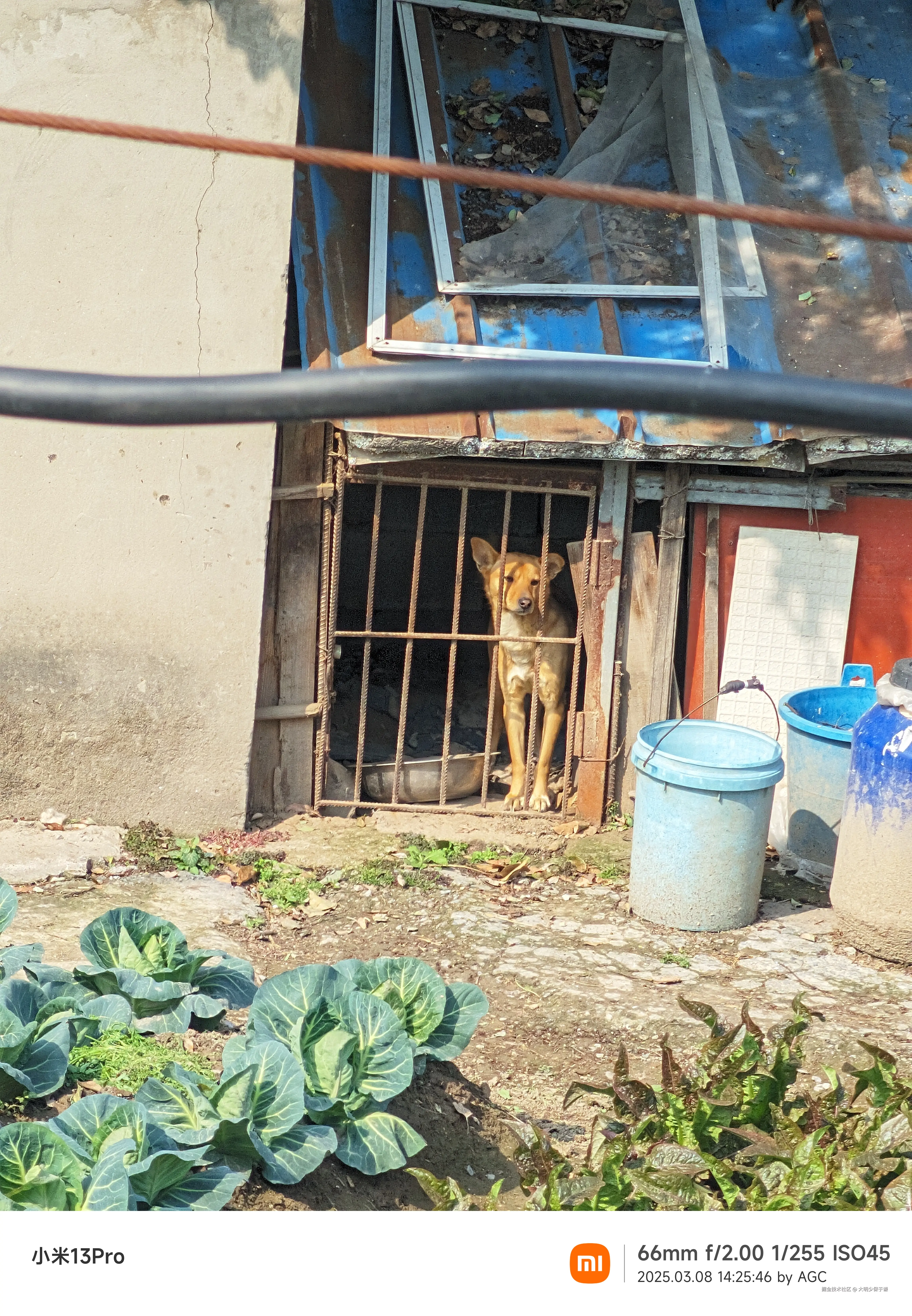 大明少保于谦于2025-03-10 15:40发布的图片