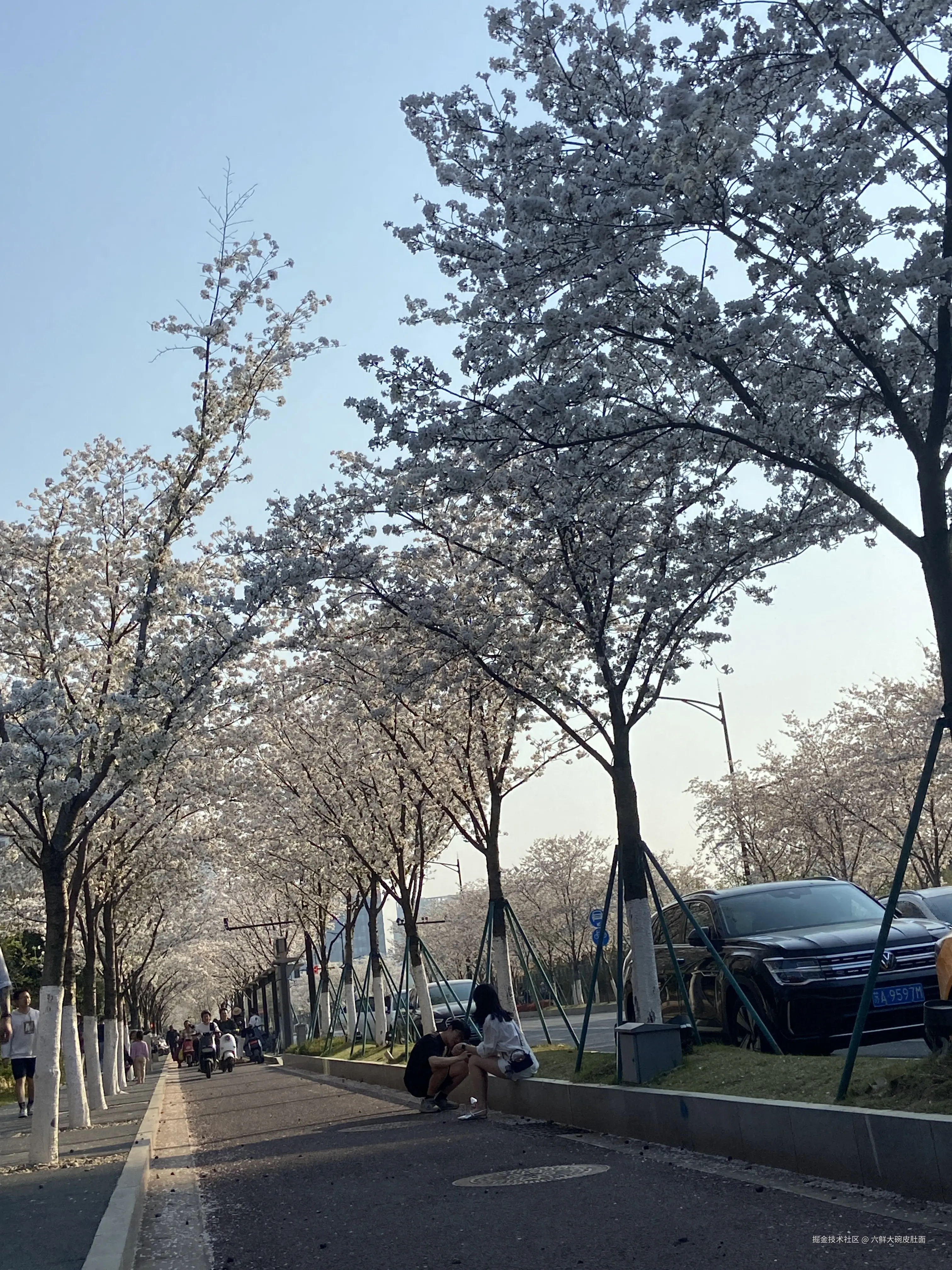 六鲜大碗皮肚面于2025-03-26 16:22发布的图片