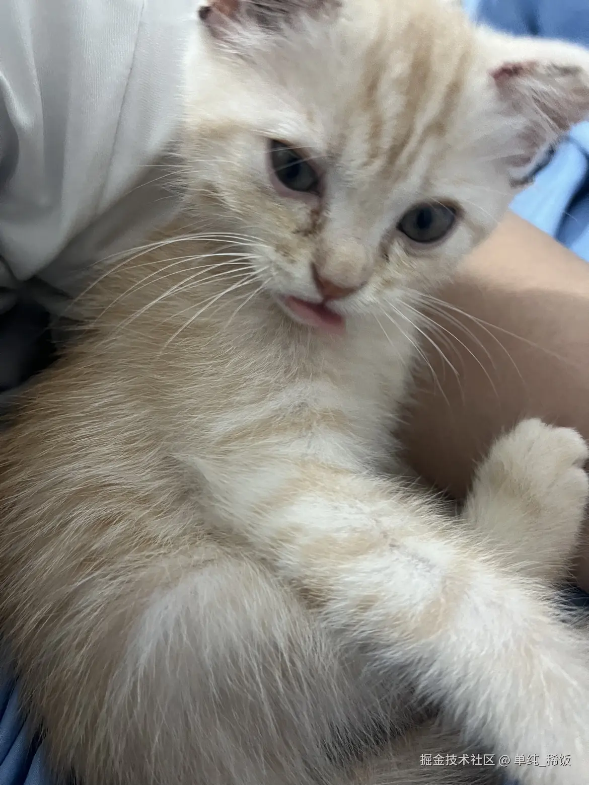 单纯_稀饭于2025-03-13 11:26发布的图片