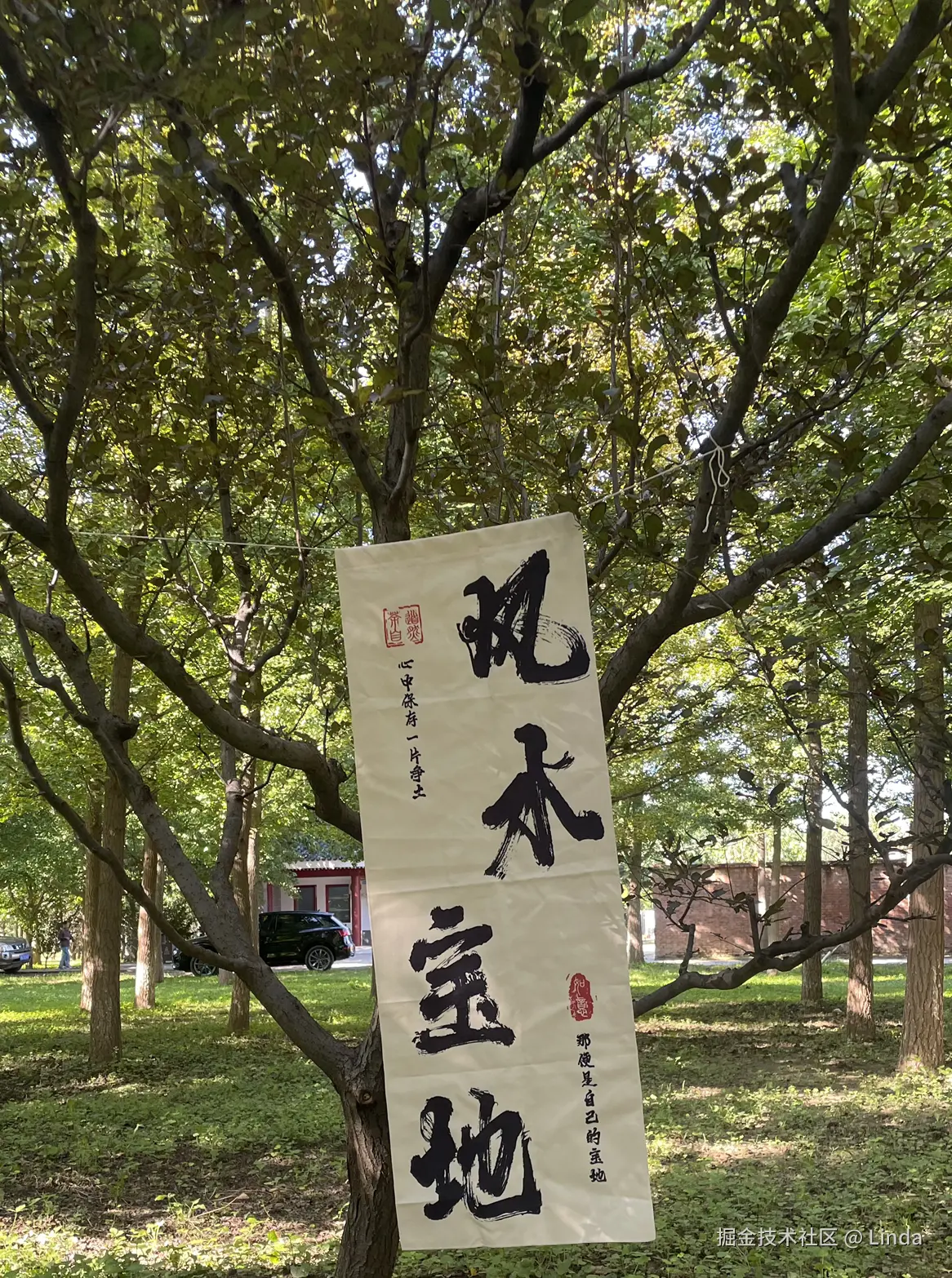 Linda于2025-09-08 09:51发布的图片