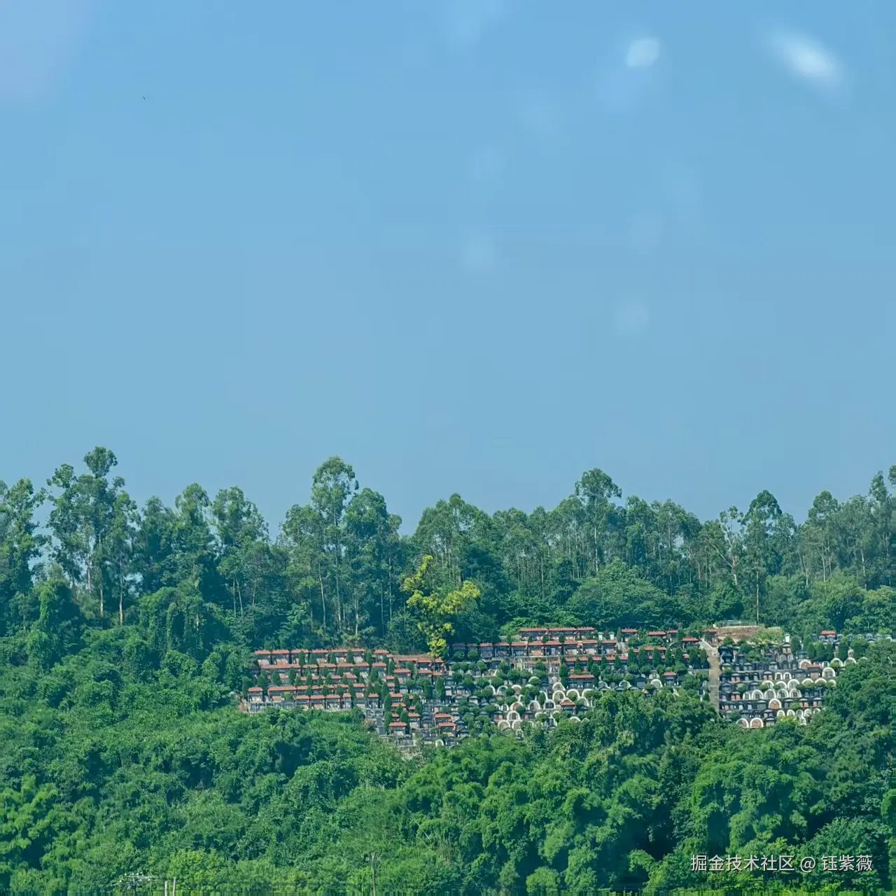 钰紫薇于2025-07-14 15:00发布的图片