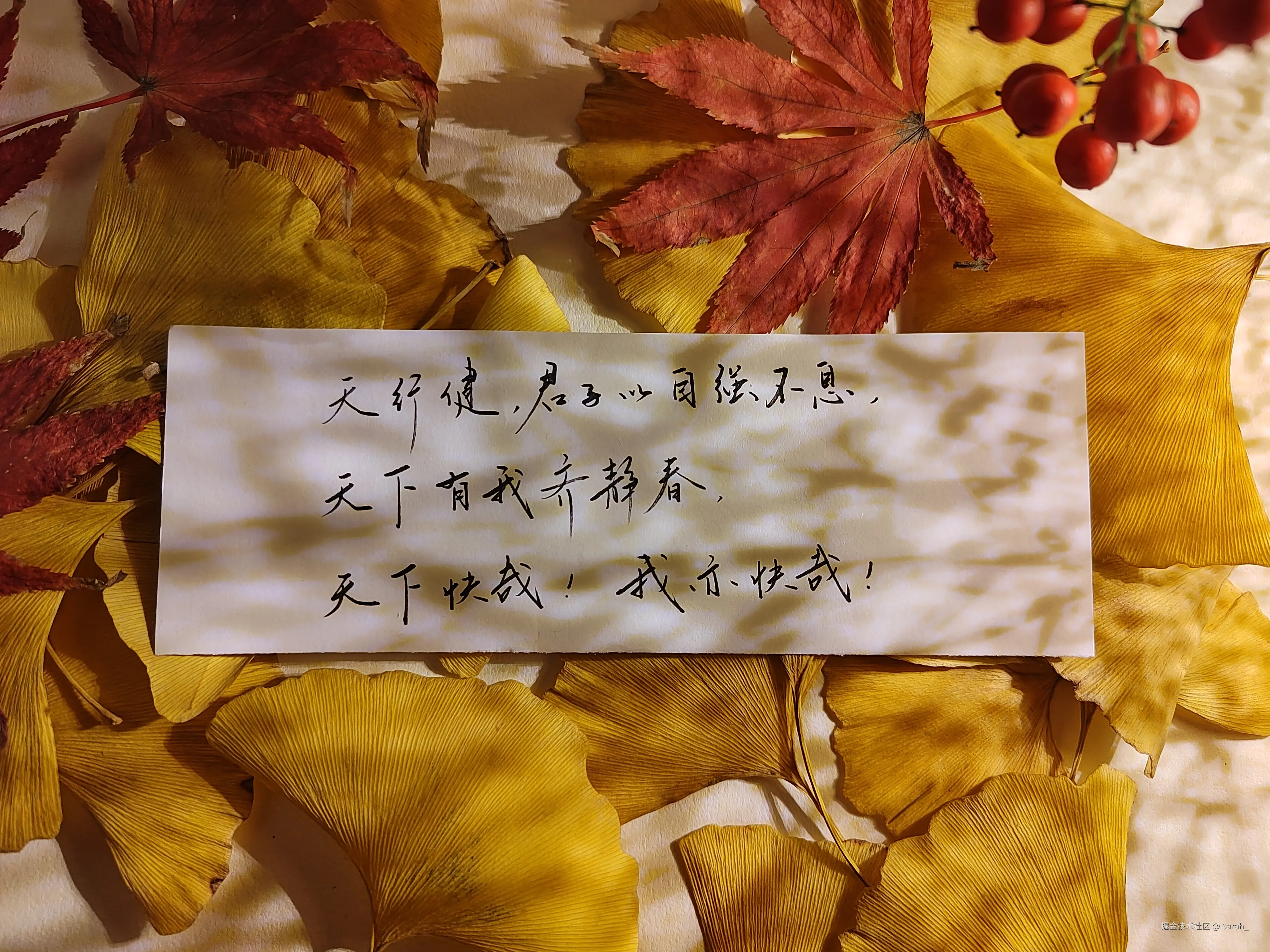 Sarah_于2024-12-25 08:13发布的图片