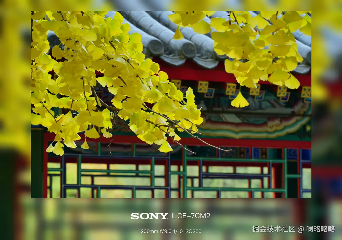 啊略略略于2024-10-28 10:27发布的图片