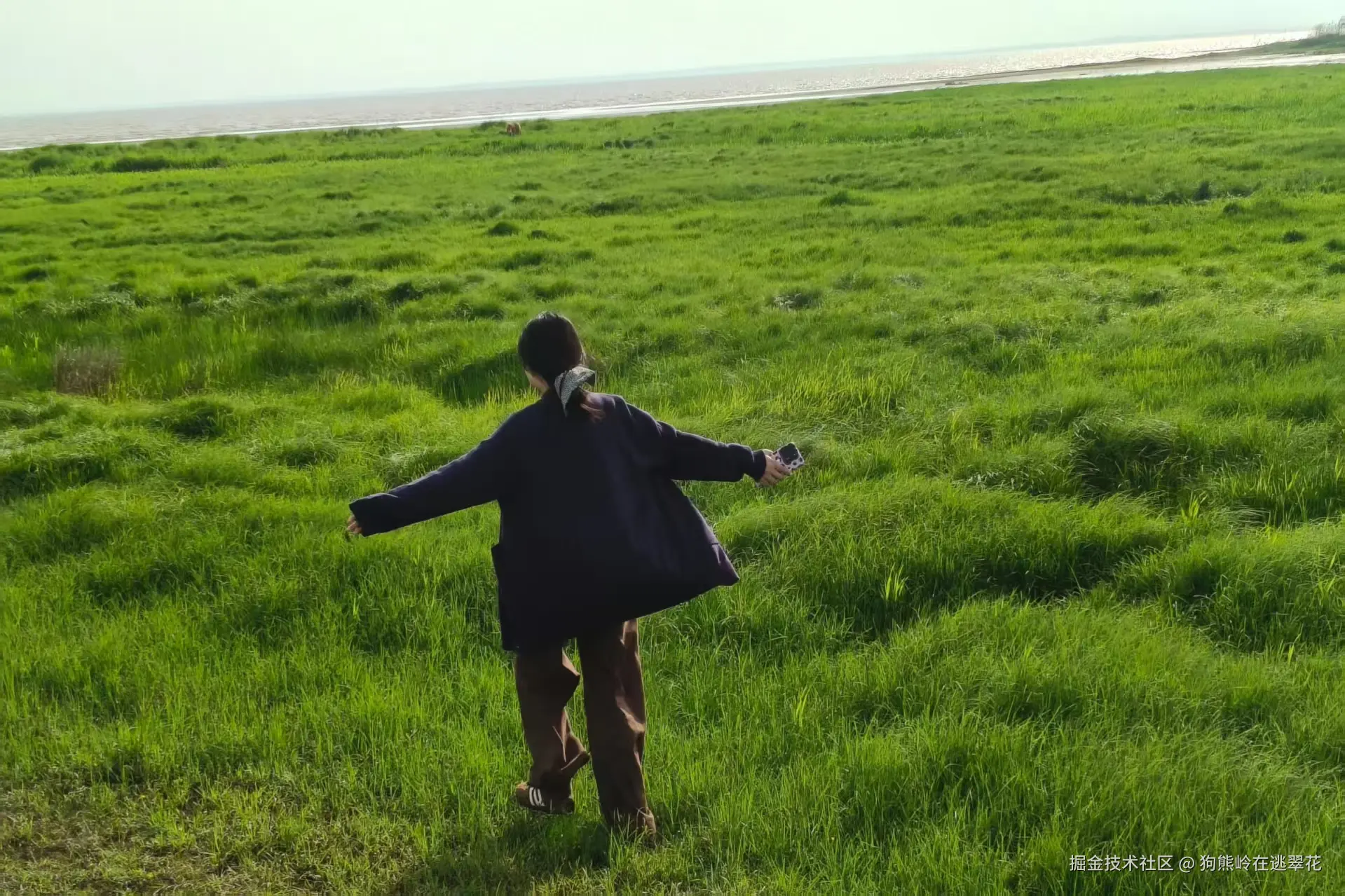 狗熊岭在逃翠花于2026-04-08 10:24发布的图片