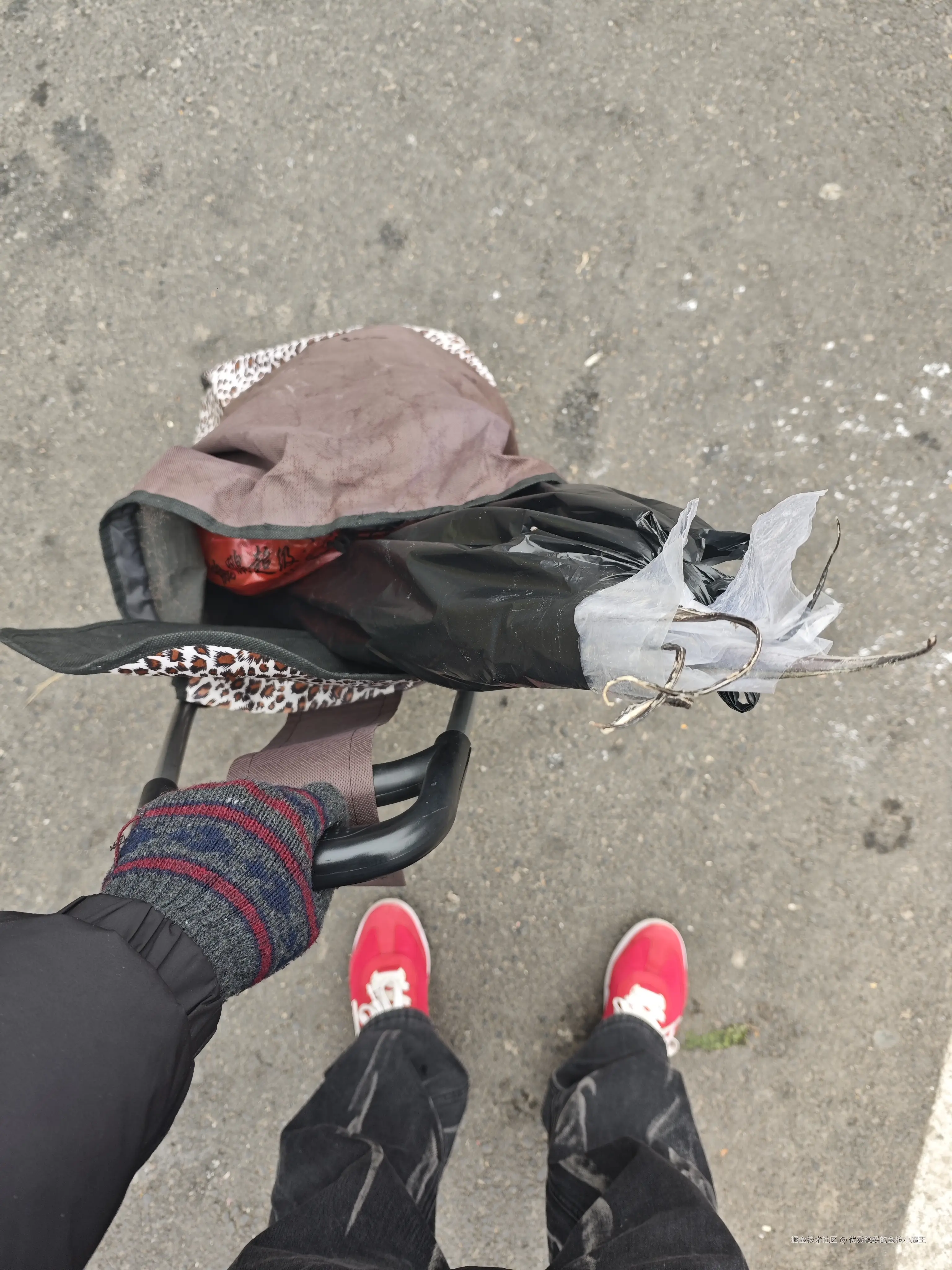 优秀稳妥的金枪小魔王于2026-02-06 10:55发布的图片