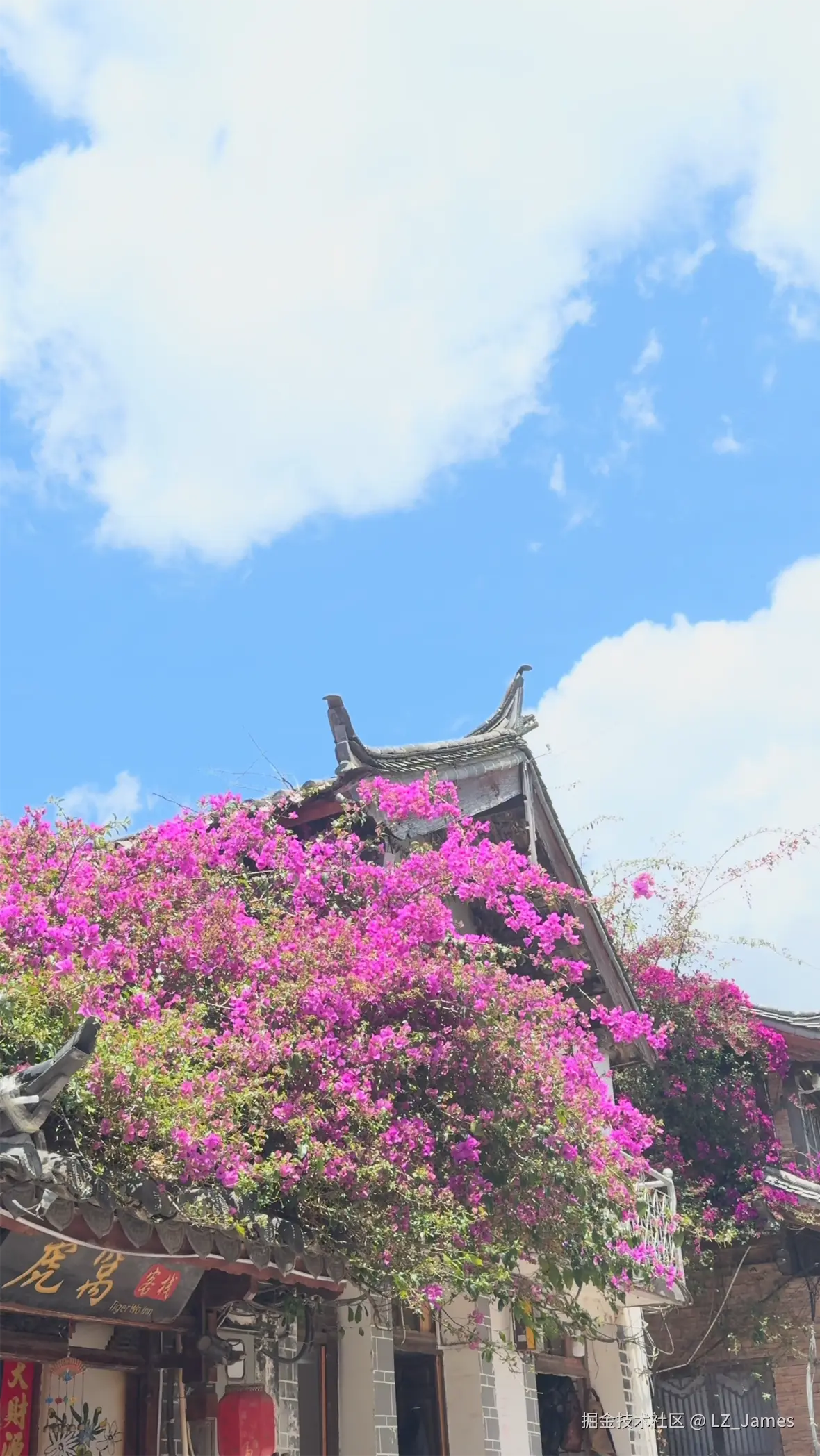LZ_James于2026-05-06 12:08发布的图片
