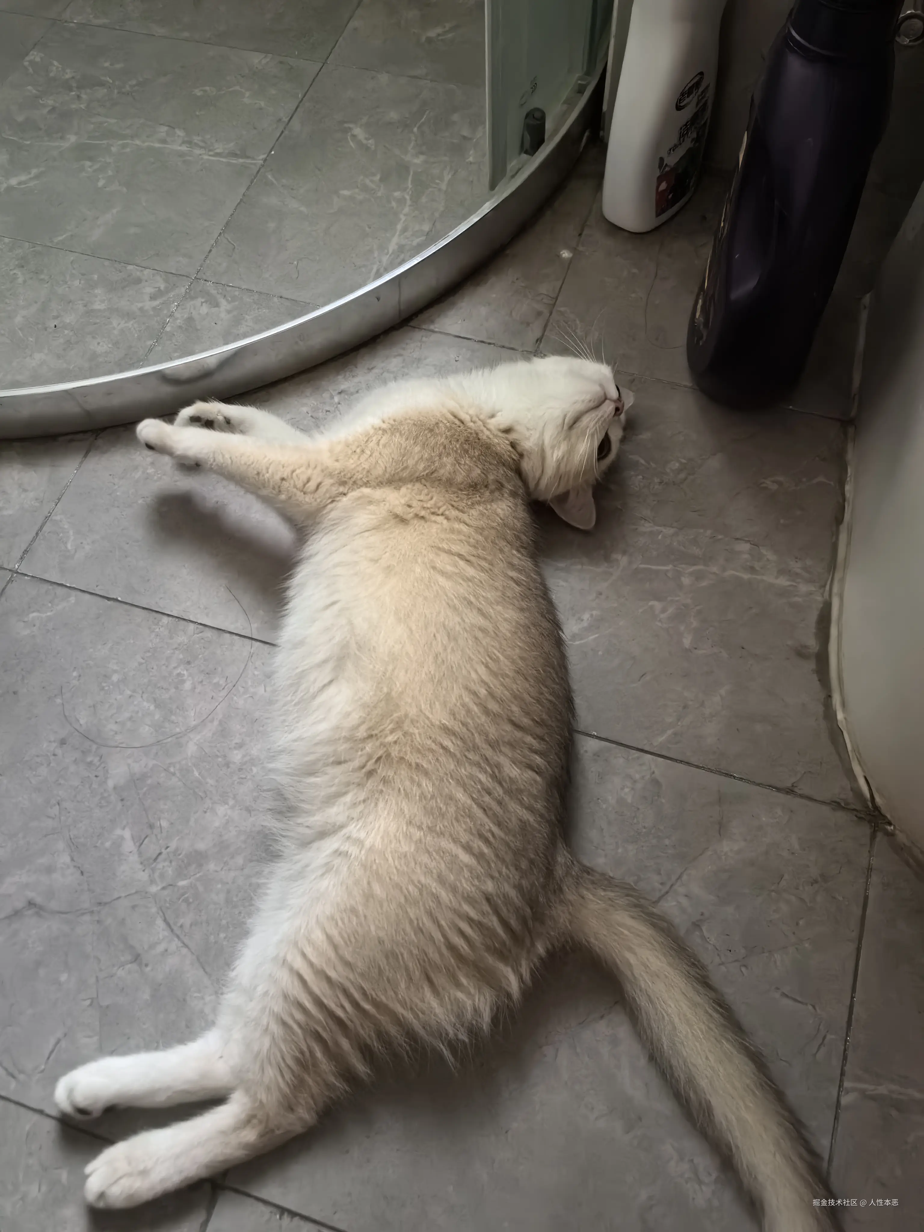 人性本恶于2024-08-01 09:14发布的图片