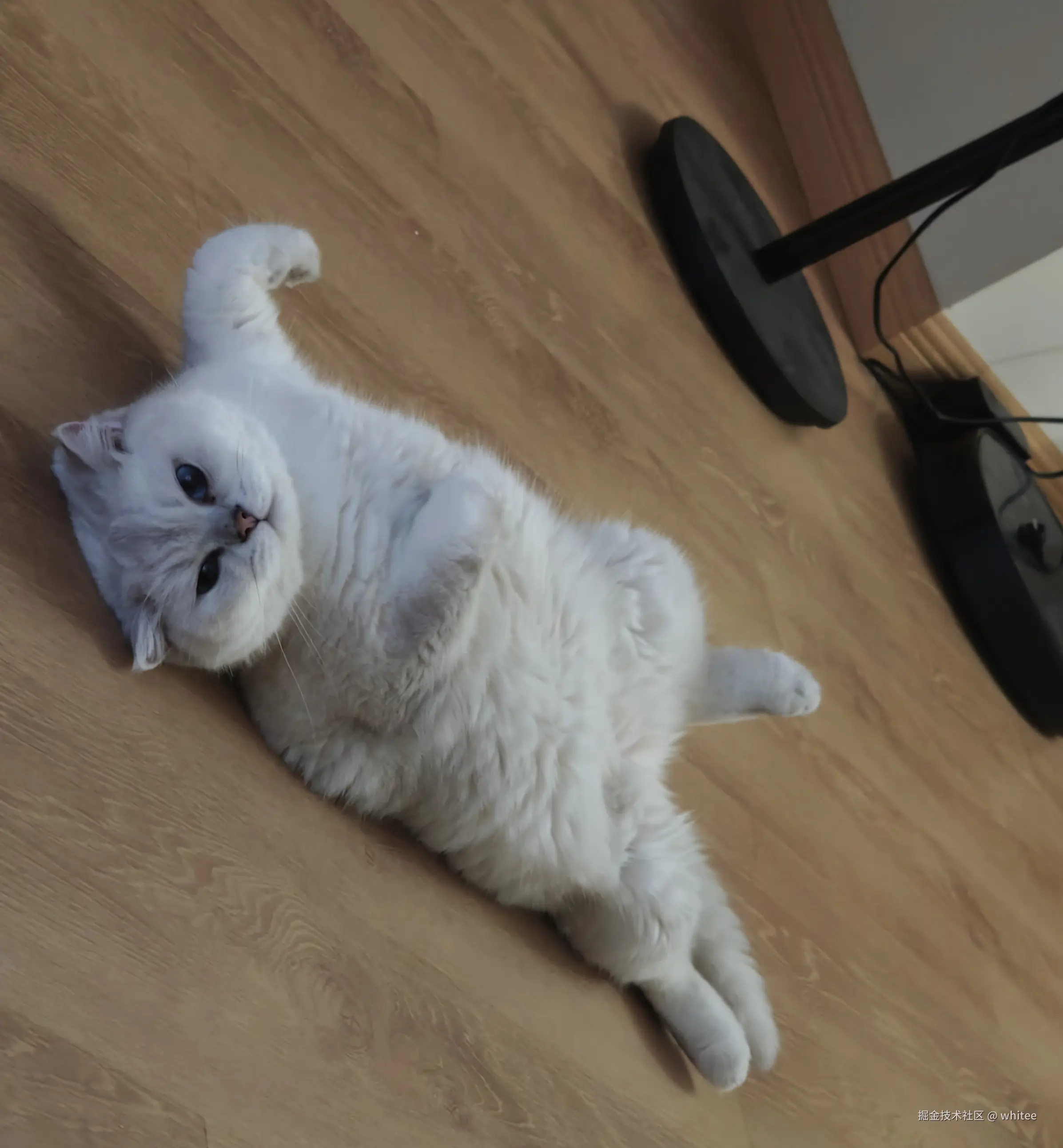 whitee于2025-09-17 17:20发布的图片