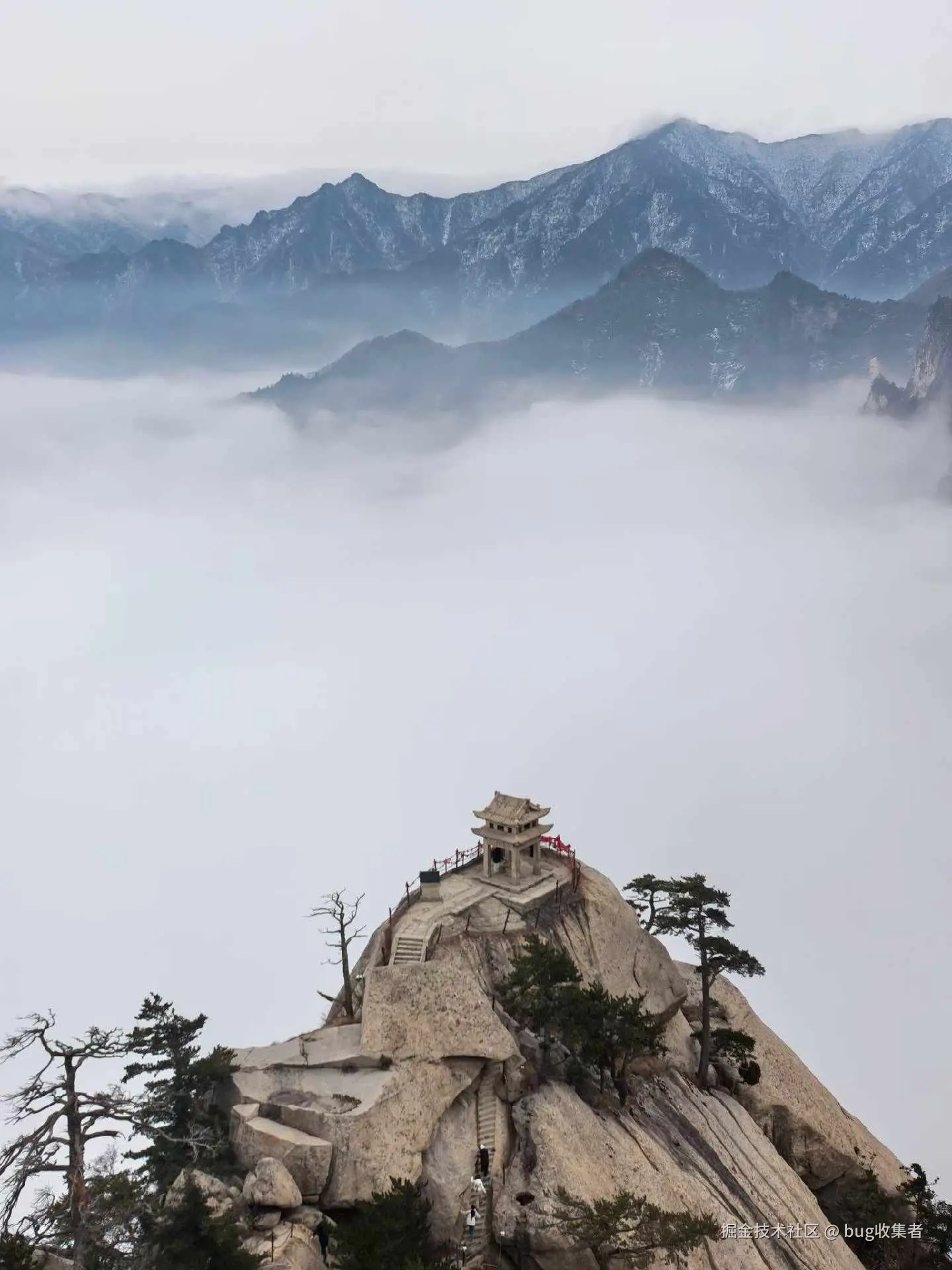 bug收集者于2026-03-09 08:27发布的图片