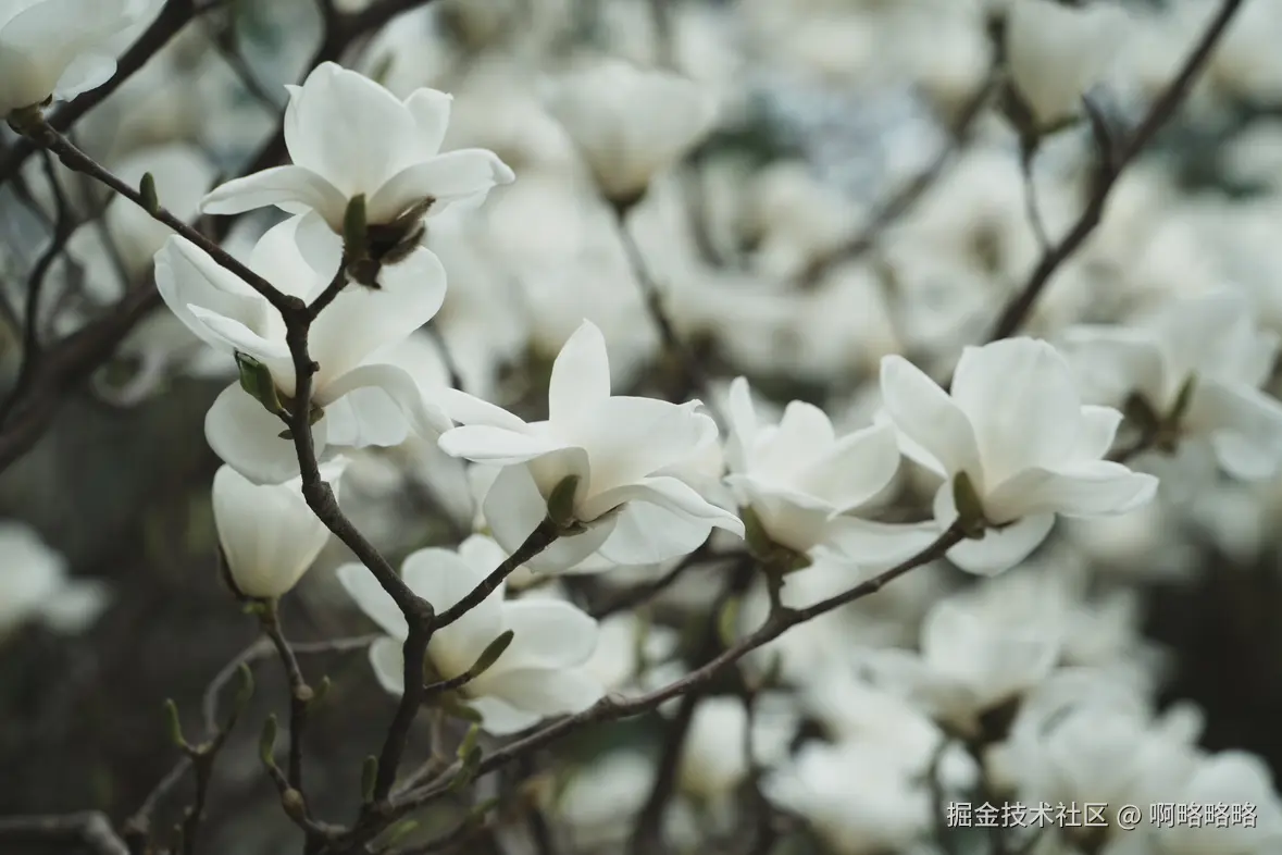 啊略略略于2025-03-24 10:24发布的图片