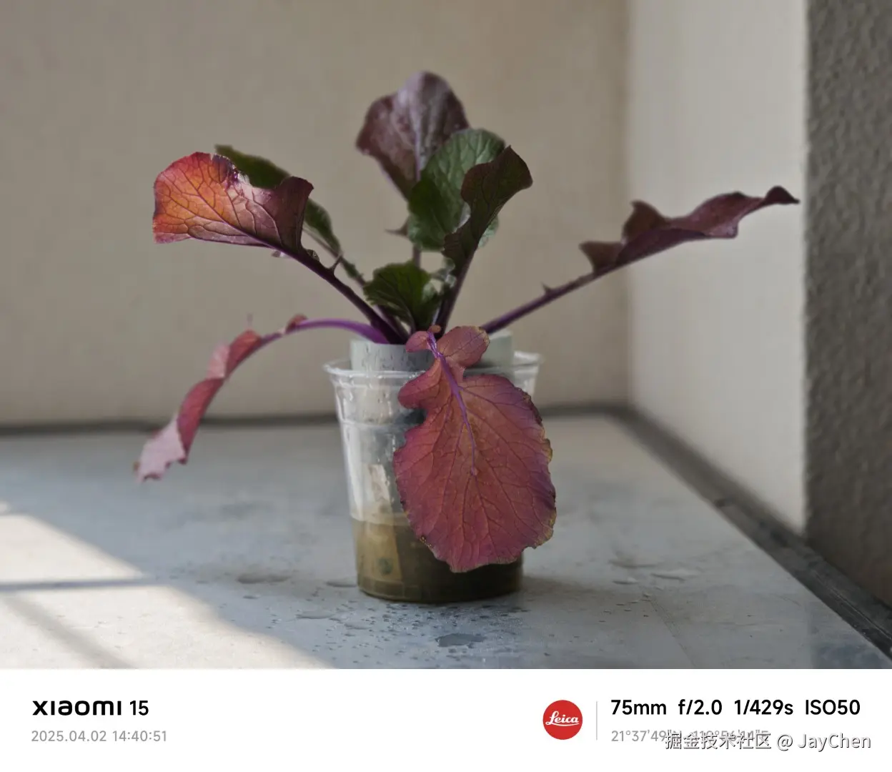 JayChen于2025-04-02 14:56发布的图片