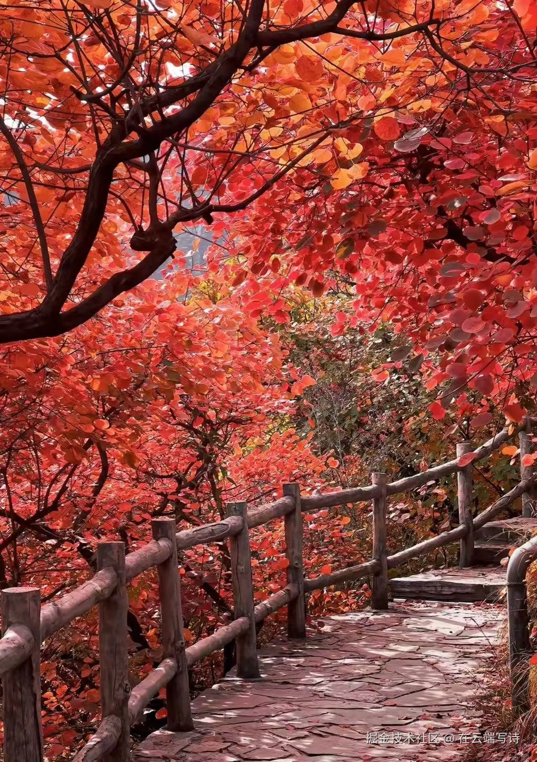 在云端写诗于2025-10-27 02:27发布的图片