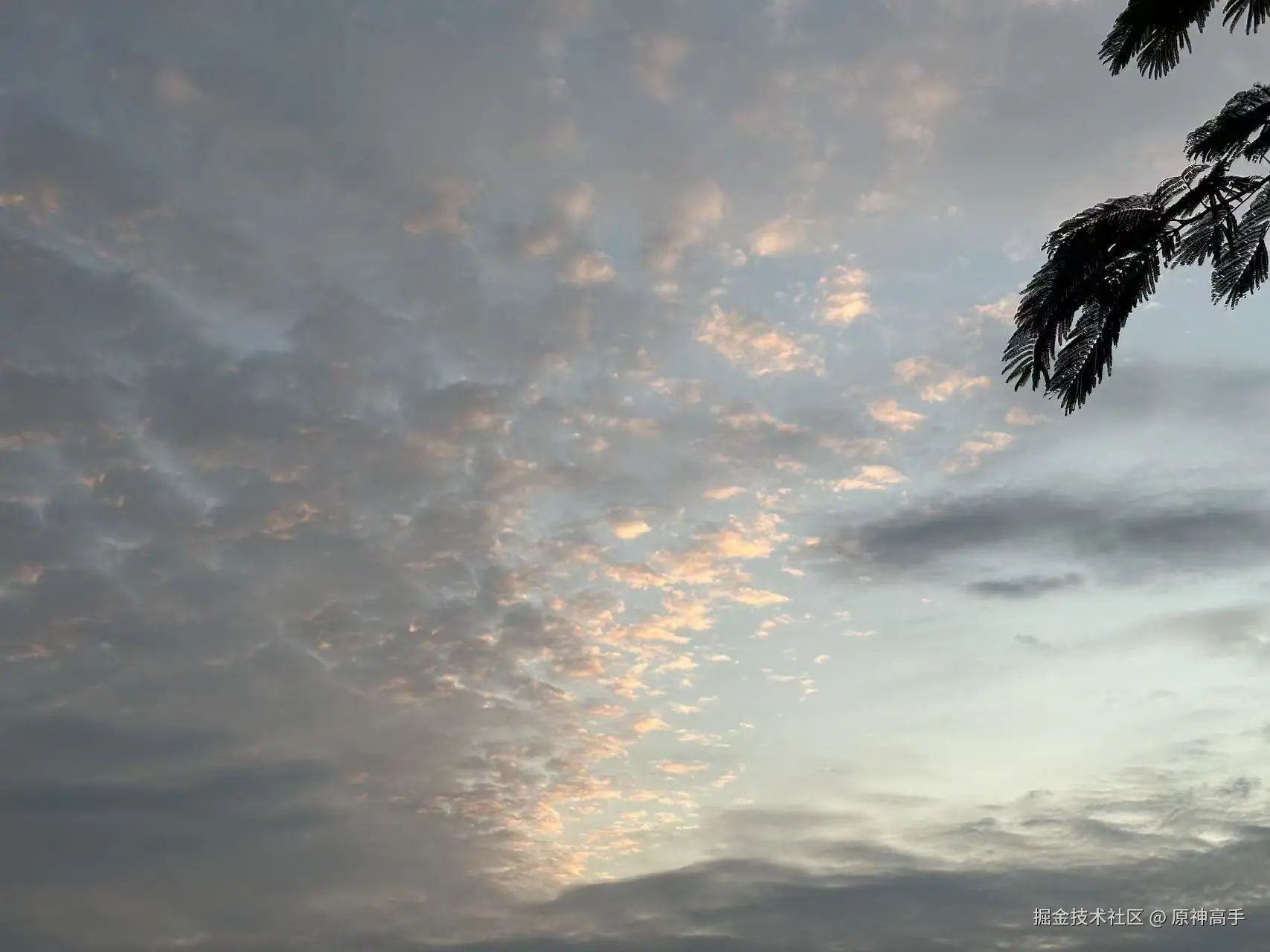 原神高手于2025-10-27 09:41发布的图片