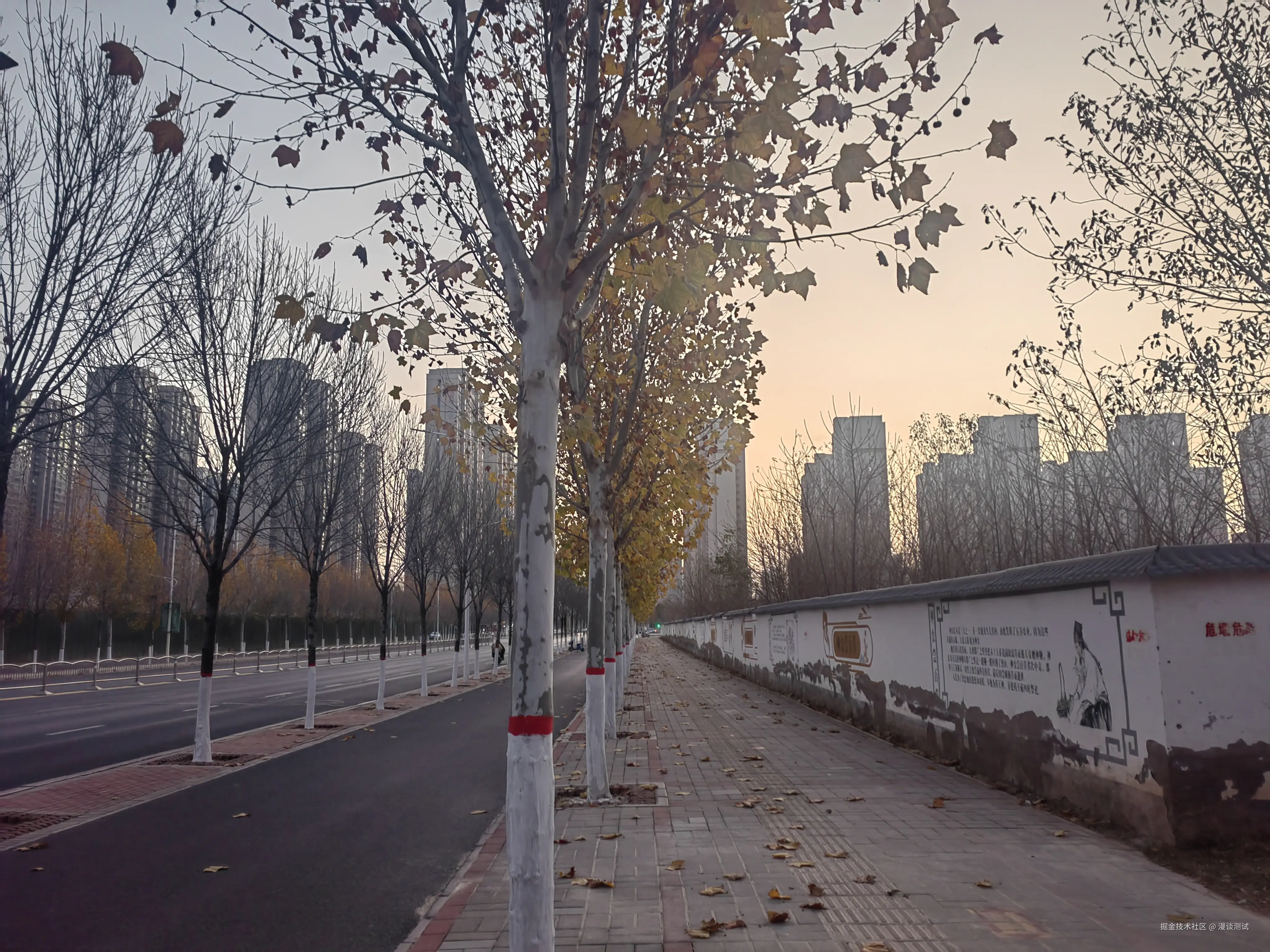 漫谈测试于2025-12-08 08:13发布的图片