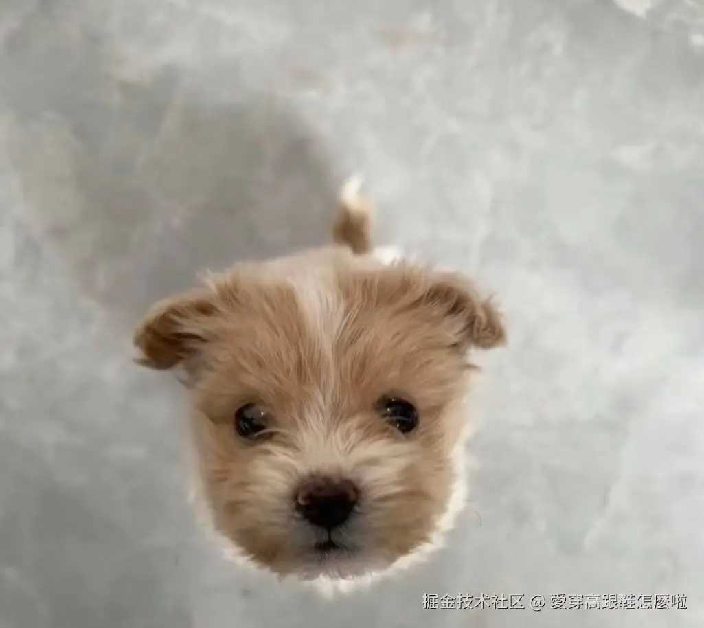 愛穿高跟鞋怎麼啦于2025-04-25 18:28发布的图片