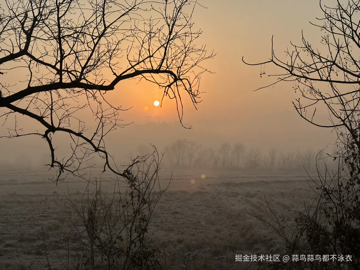 蒜鸟蒜鸟都不泳衣于2026-02-06 09:49发布的图片