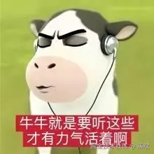 涵晗于2026-01-27 09:22发布的图片