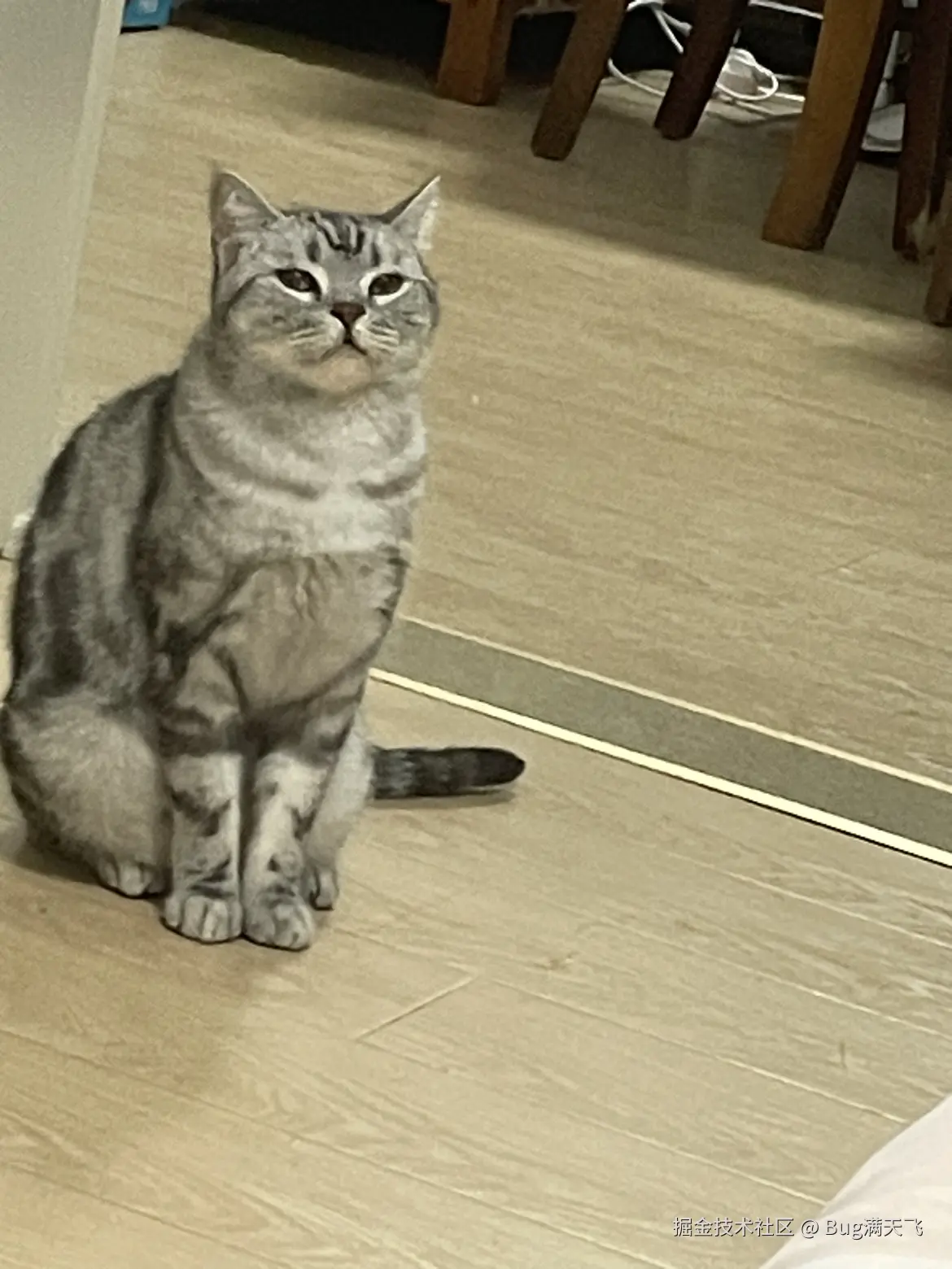 Bug满天飞于2024-09-04 10:47发布的图片