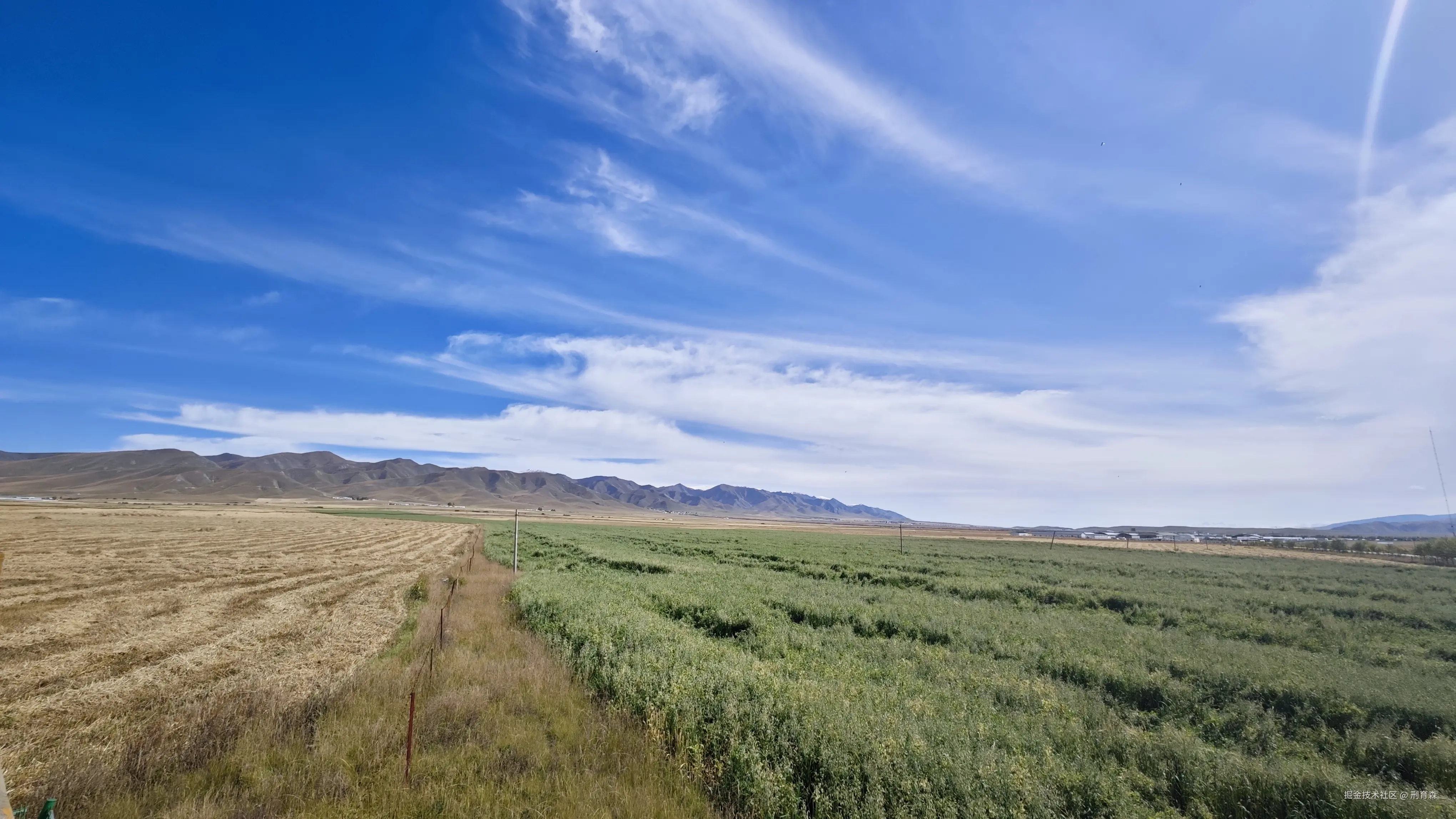 刑育森于2025-10-03 09:18发布的图片