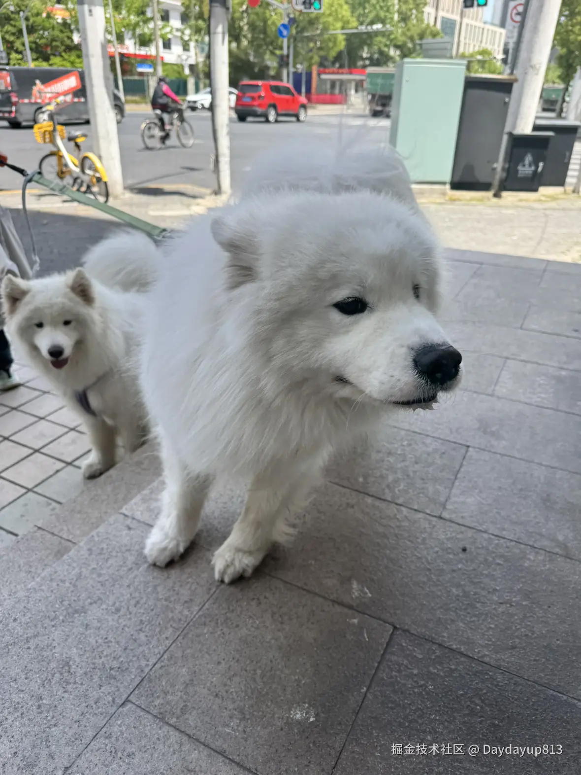 Daydayup813于2025-04-28 09:10发布的图片
