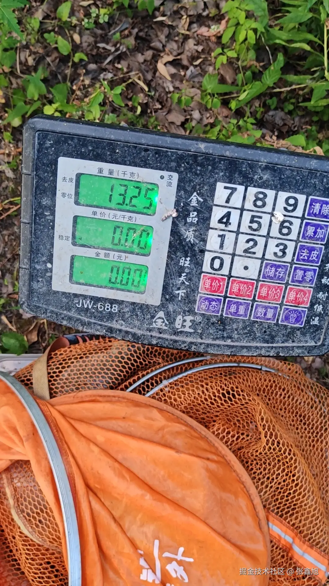 张鑫旭于2025-08-04 11:15发布的图片