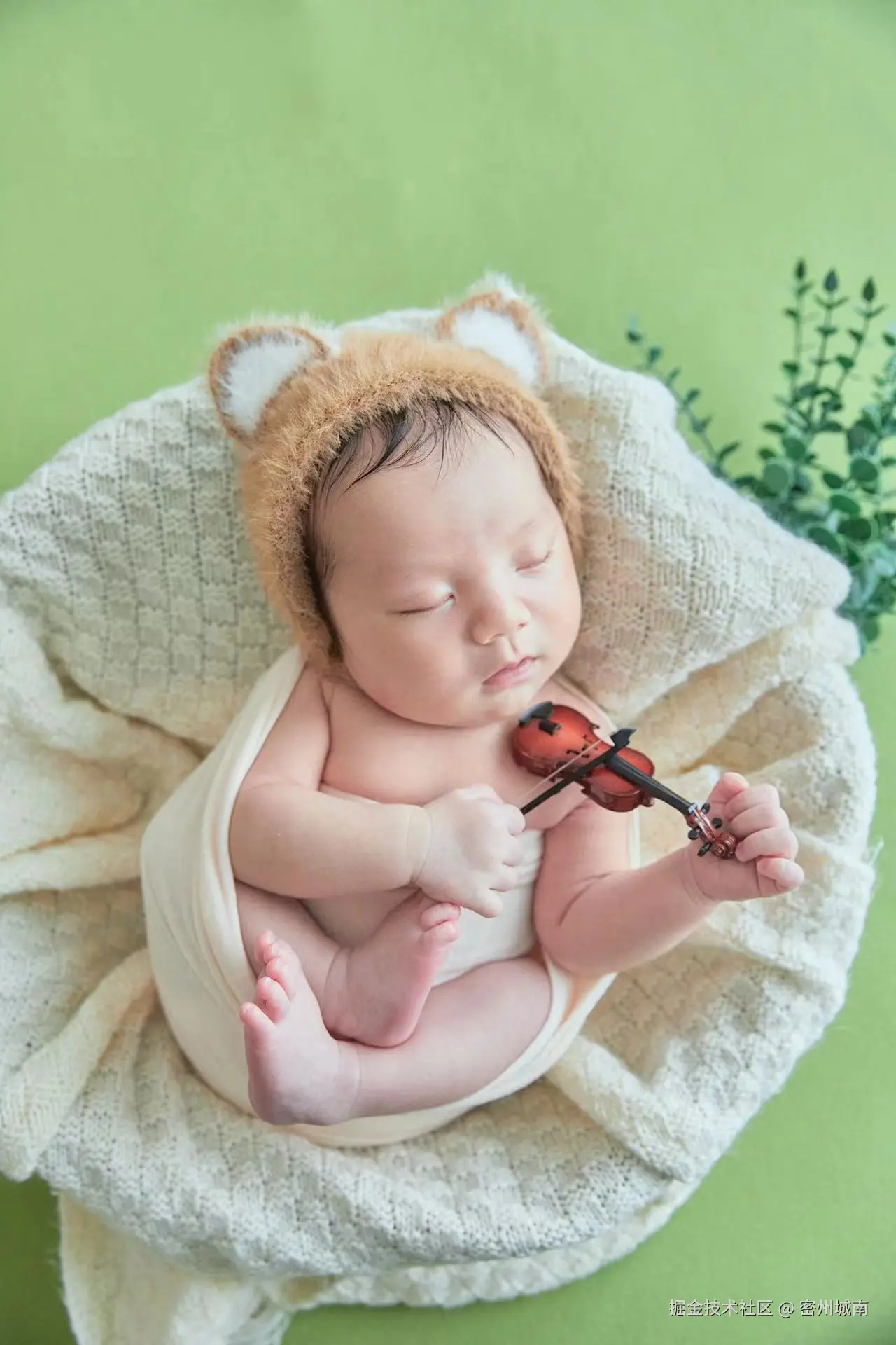 密州城南于2024-08-09 14:52发布的图片