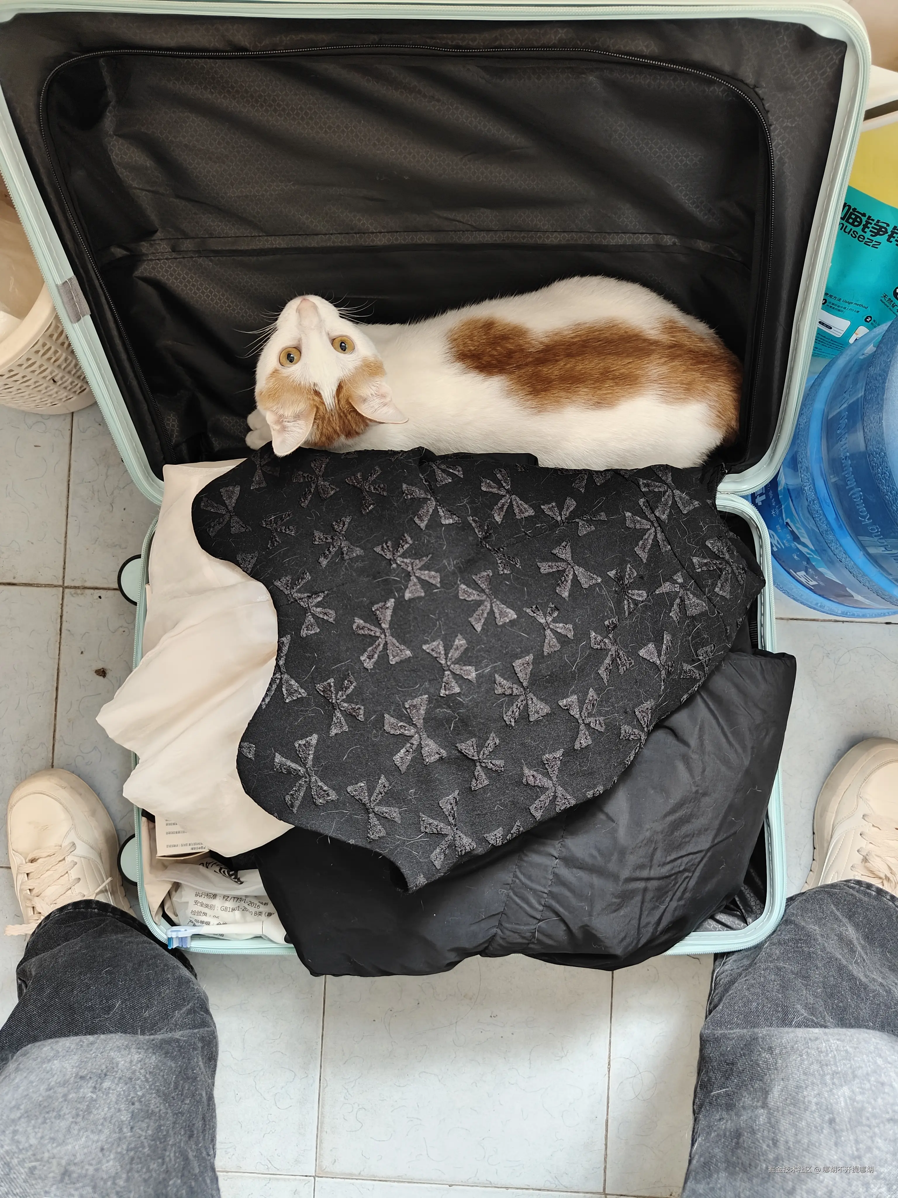 哪胡不开提哪胡于2025-02-26 11:12发布的图片