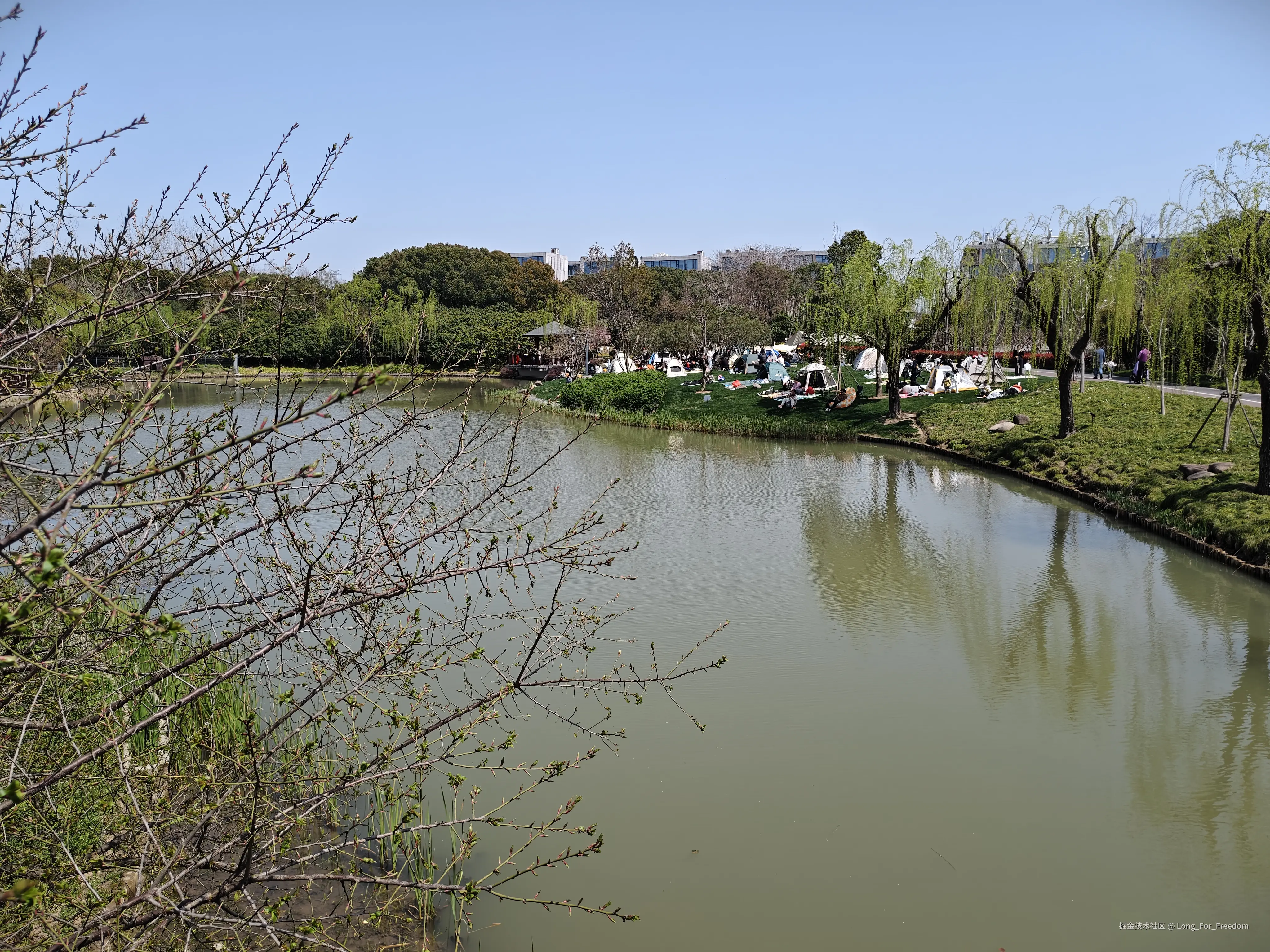 Long_For_Freedom于2026-03-28 12:27发布的图片