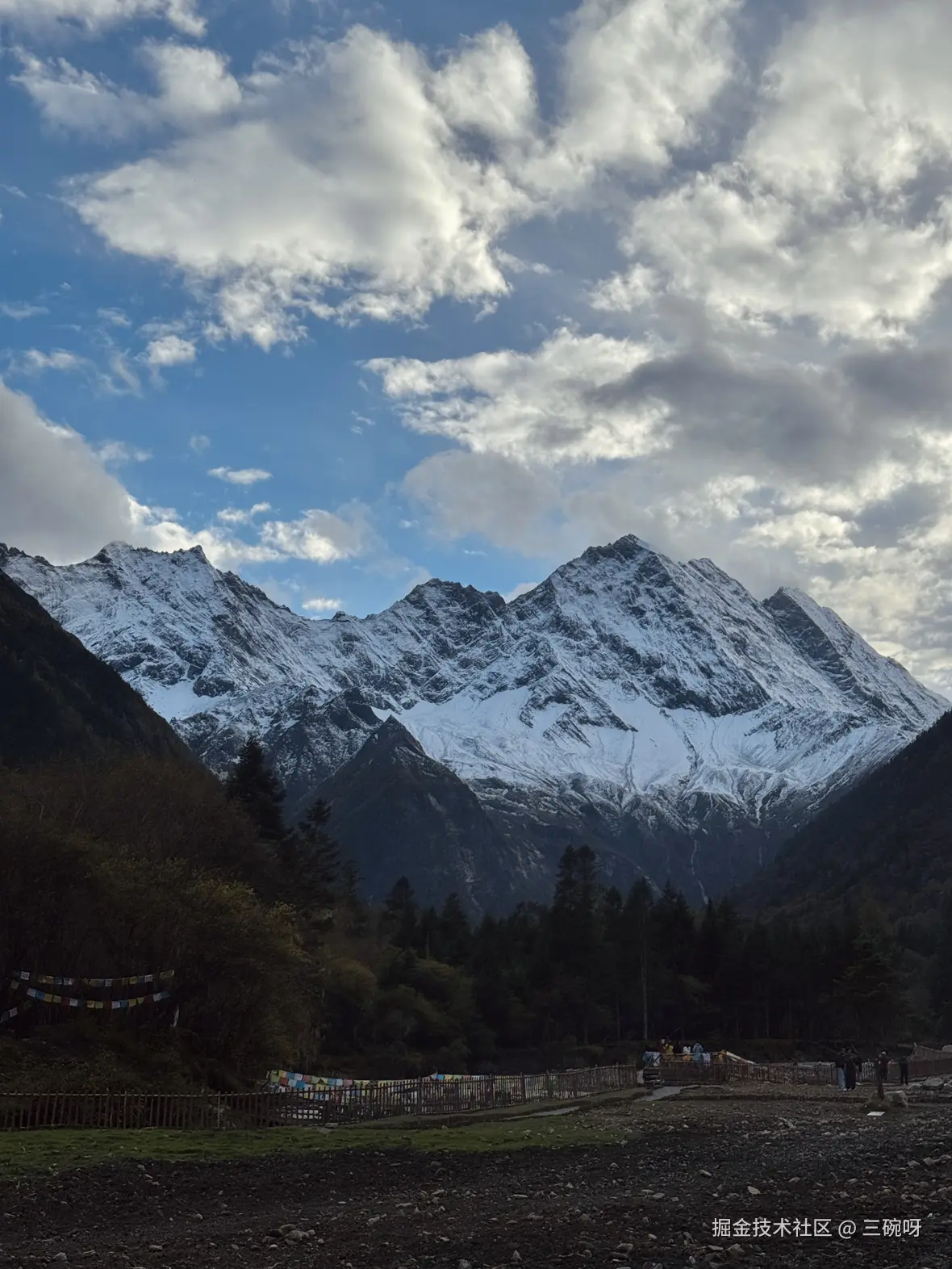 三碗呀于2025-11-24 10:42发布的图片