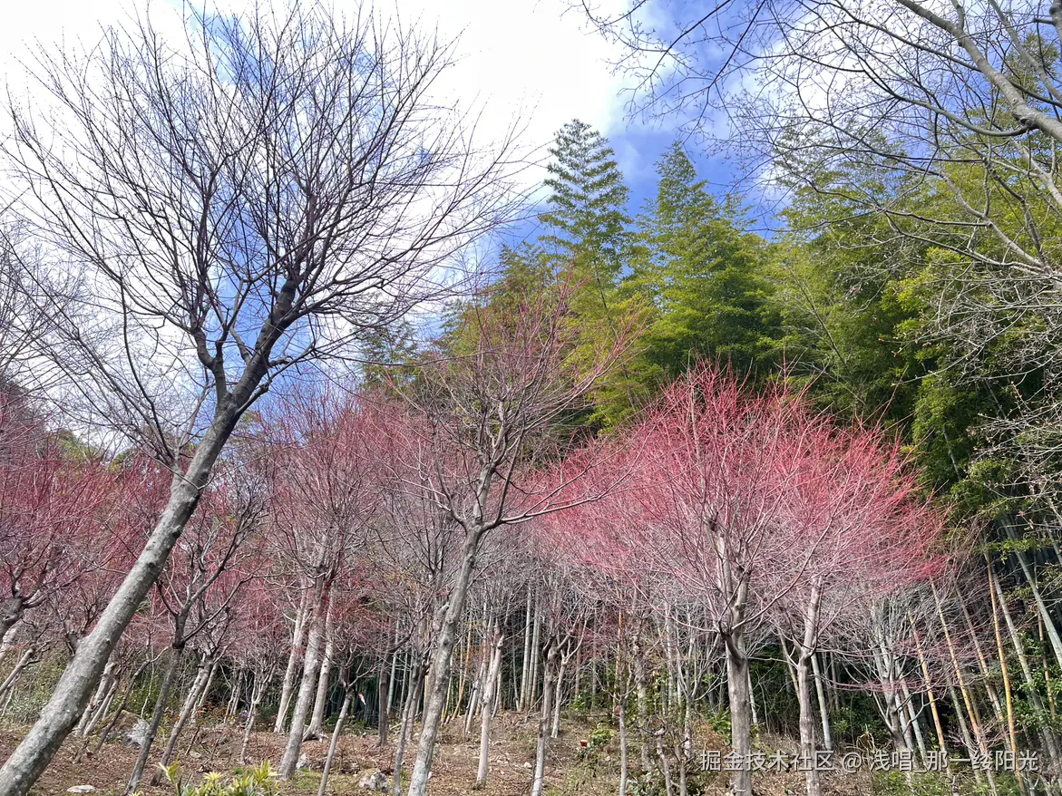 浅唱_那一缕阳光于2026-04-07 10:47发布的图片