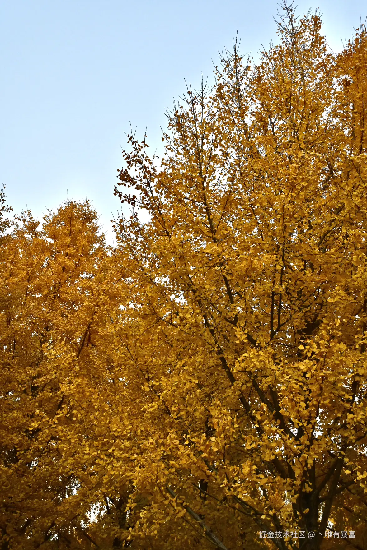 丶唯有暴富于2025-12-08 10:12发布的图片