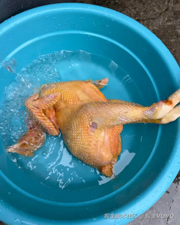 掘金MOMO于2026-02-26 15:49发布的图片