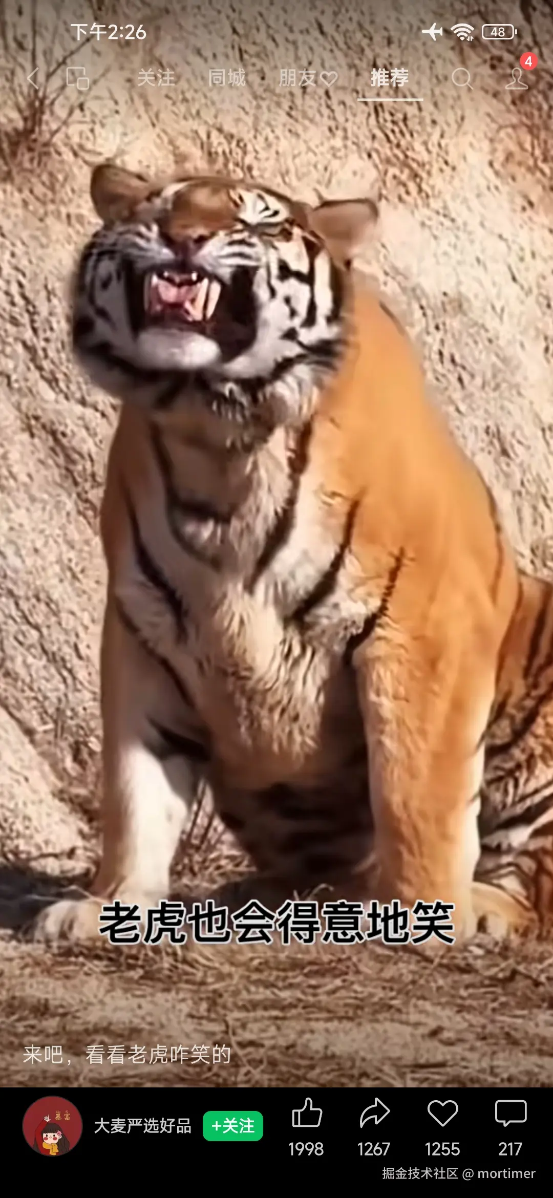 mortimer于2025-11-07 17:03发布的图片