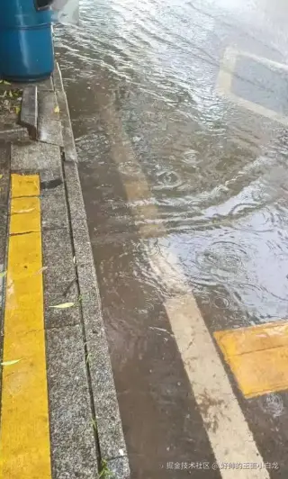 好帅的玉面小白龙于2026-07-20 03:25发布的图片