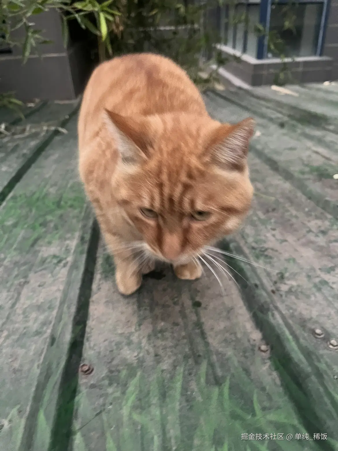 单纯_稀饭于2025-10-28 16:29发布的图片