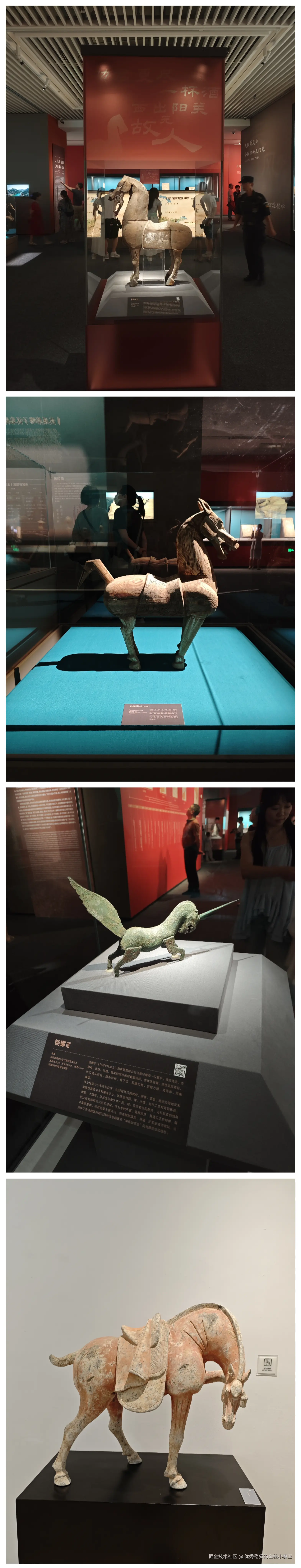 优秀稳妥的金枪小魔王于2025-07-28 06:13发布的图片