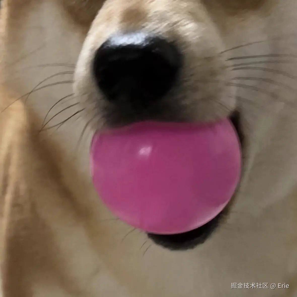 Erie于2024-07-17 10:44发布的图片