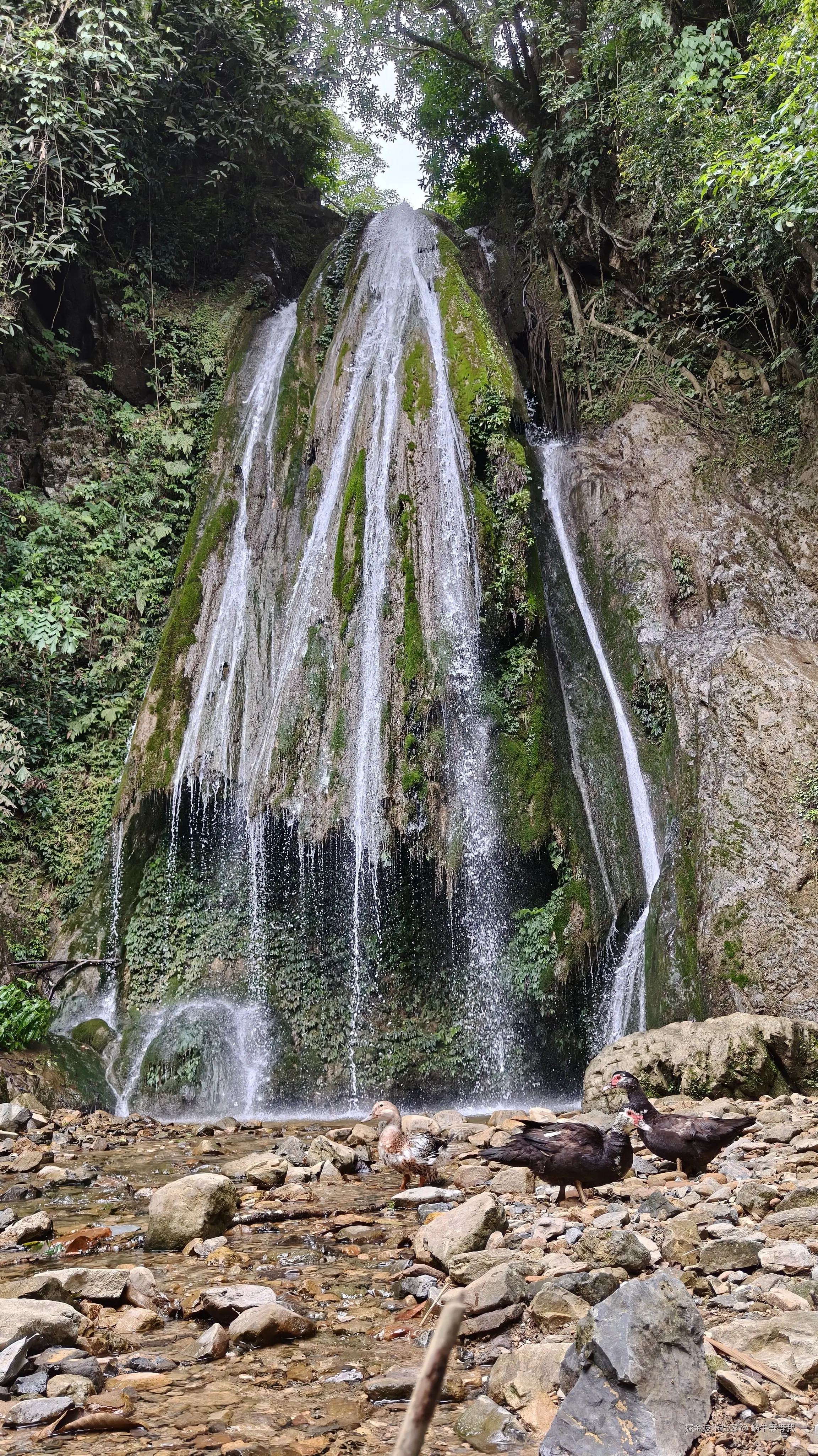 蜗牛等等我于2025-08-11 10:05发布的图片