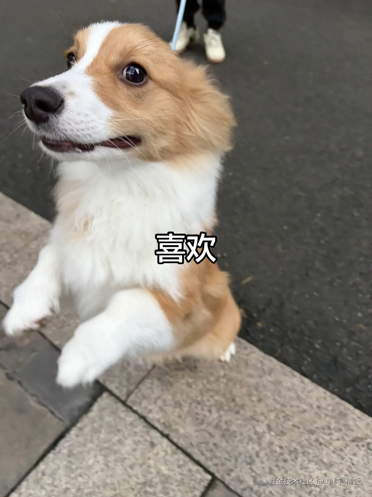 单纯_稀饭于2026-03-31 08:18发布的图片