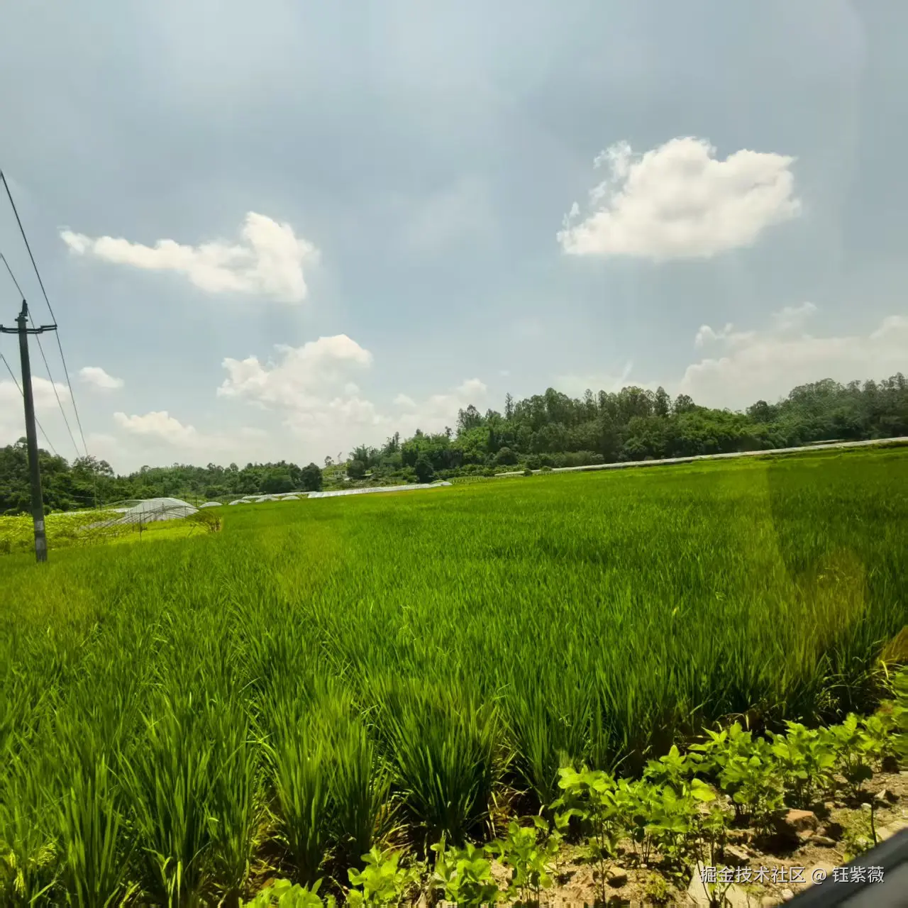 钰紫薇于2025-07-14 07:00发布的图片