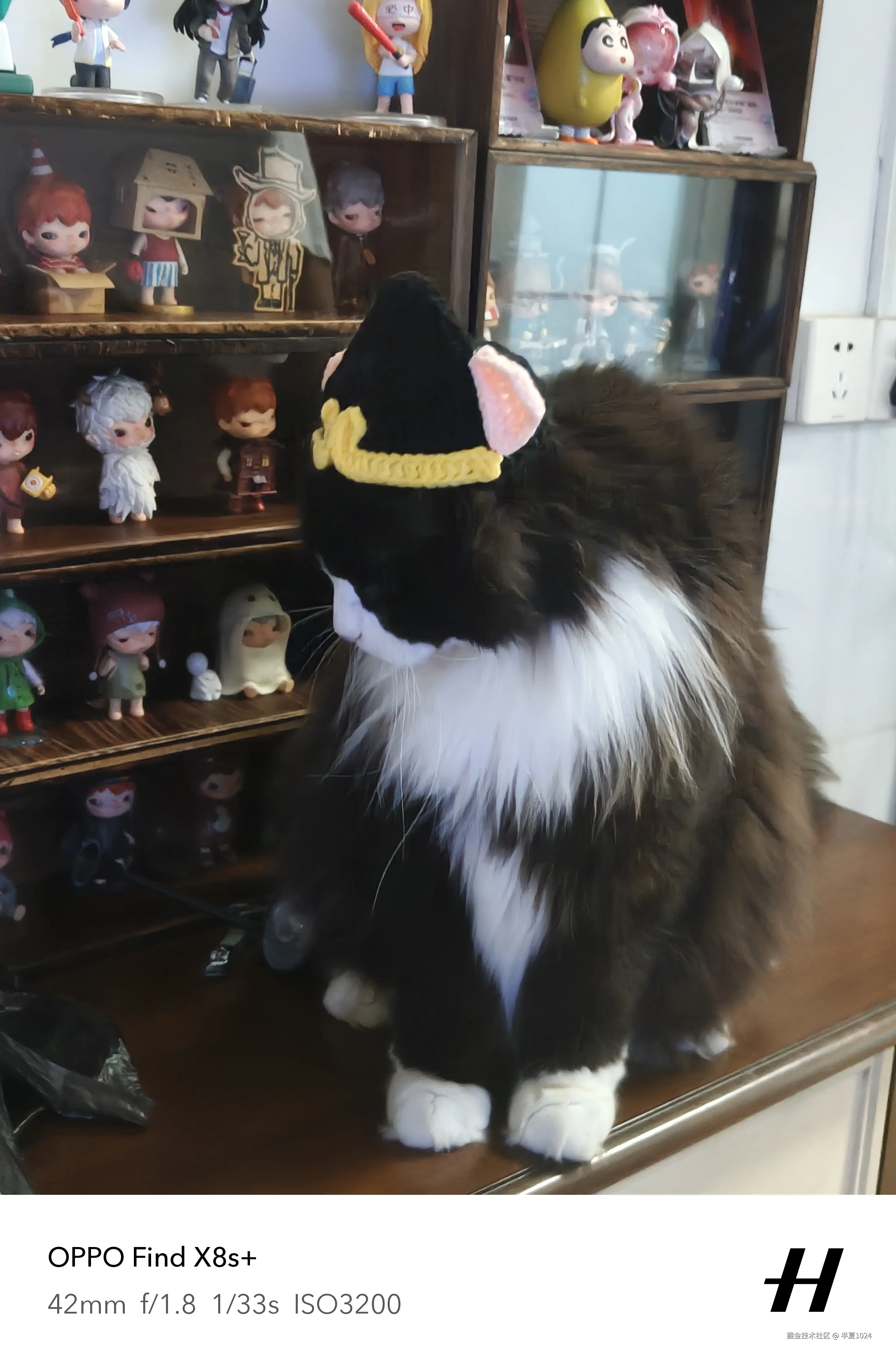 半夏1024于2025-06-25 11:23发布的图片