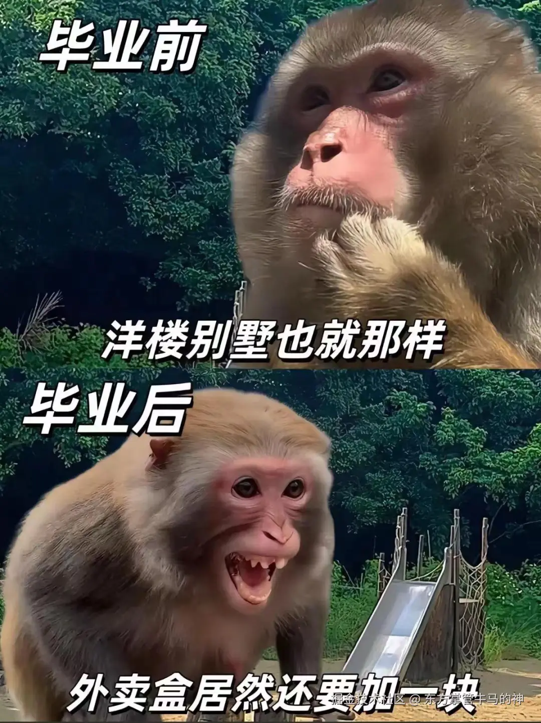 东方掌管牛马的神于2024-07-30 16:50发布的图片
